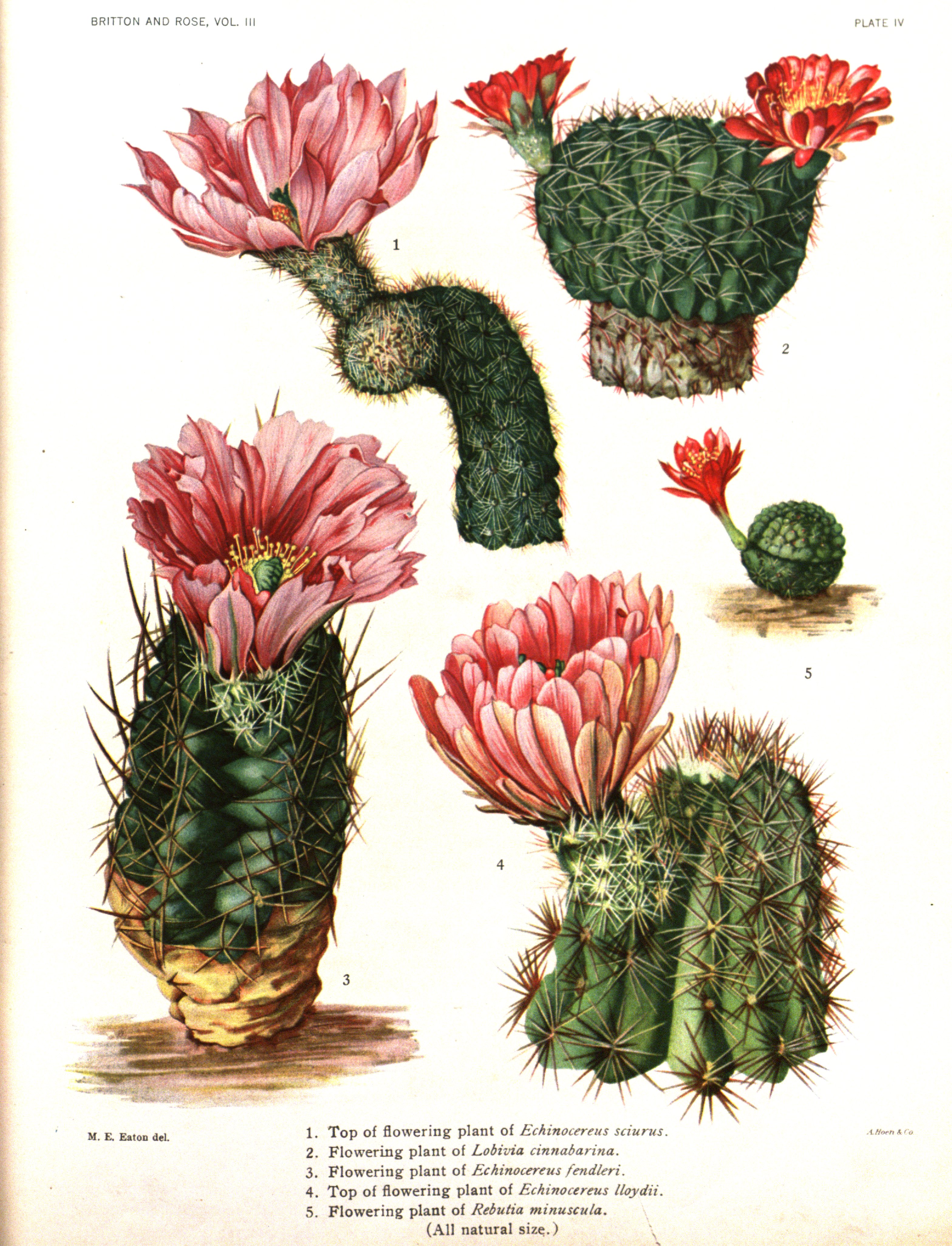 no full size  illustration available (3a)