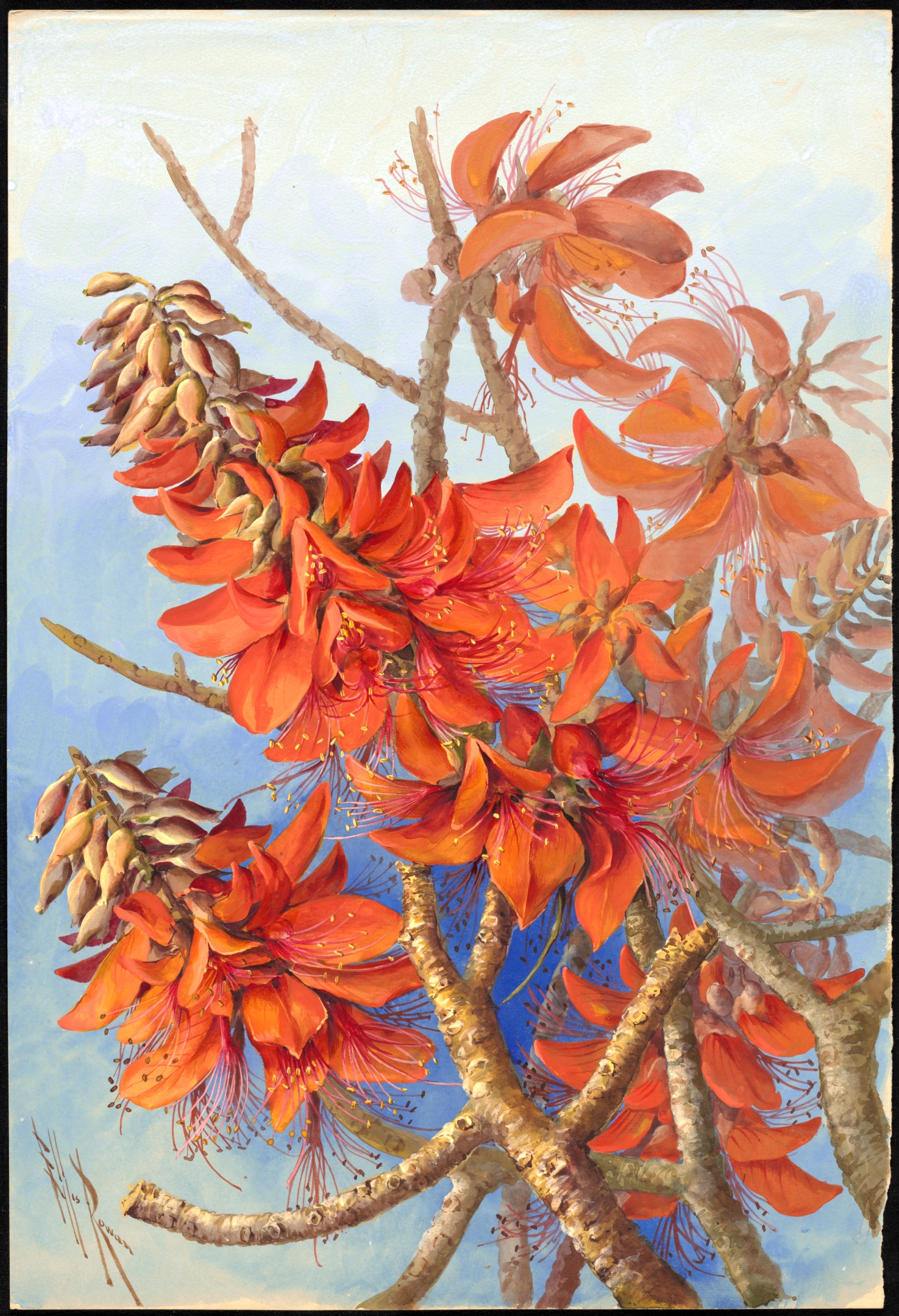 no full size  illustration available (3a)