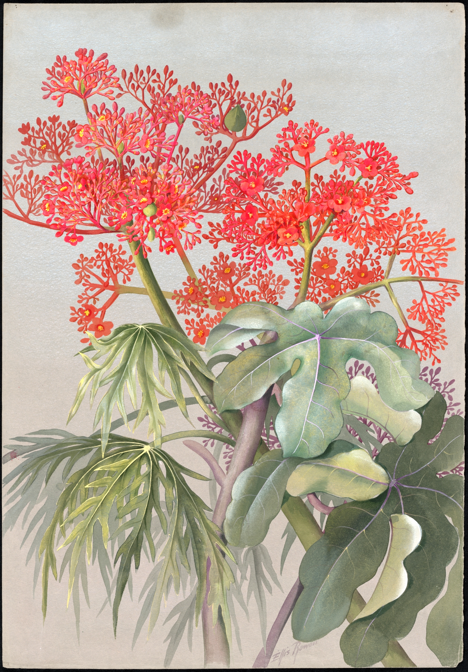 no full size  illustration available (3a)