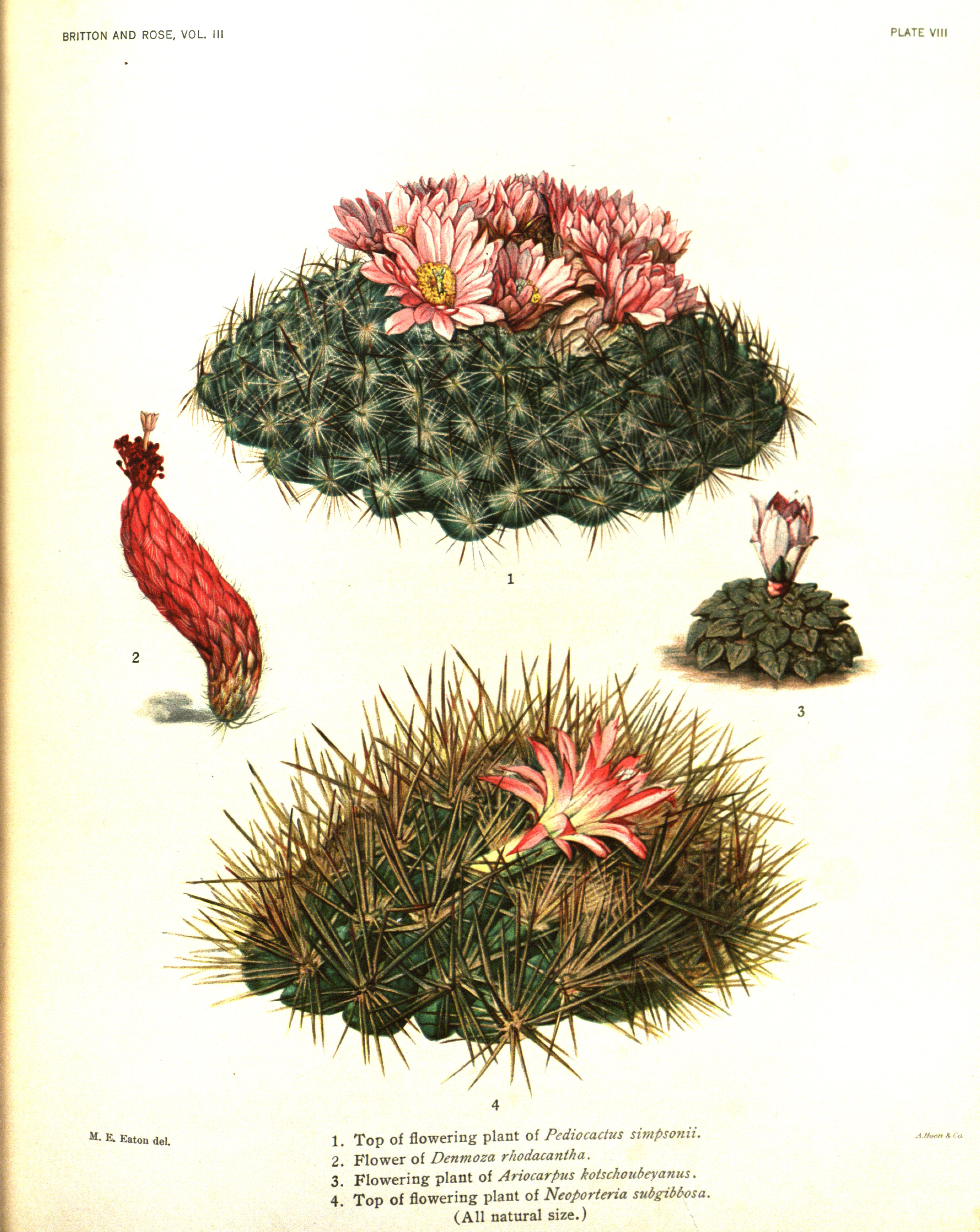 no full size  illustration available (3a)