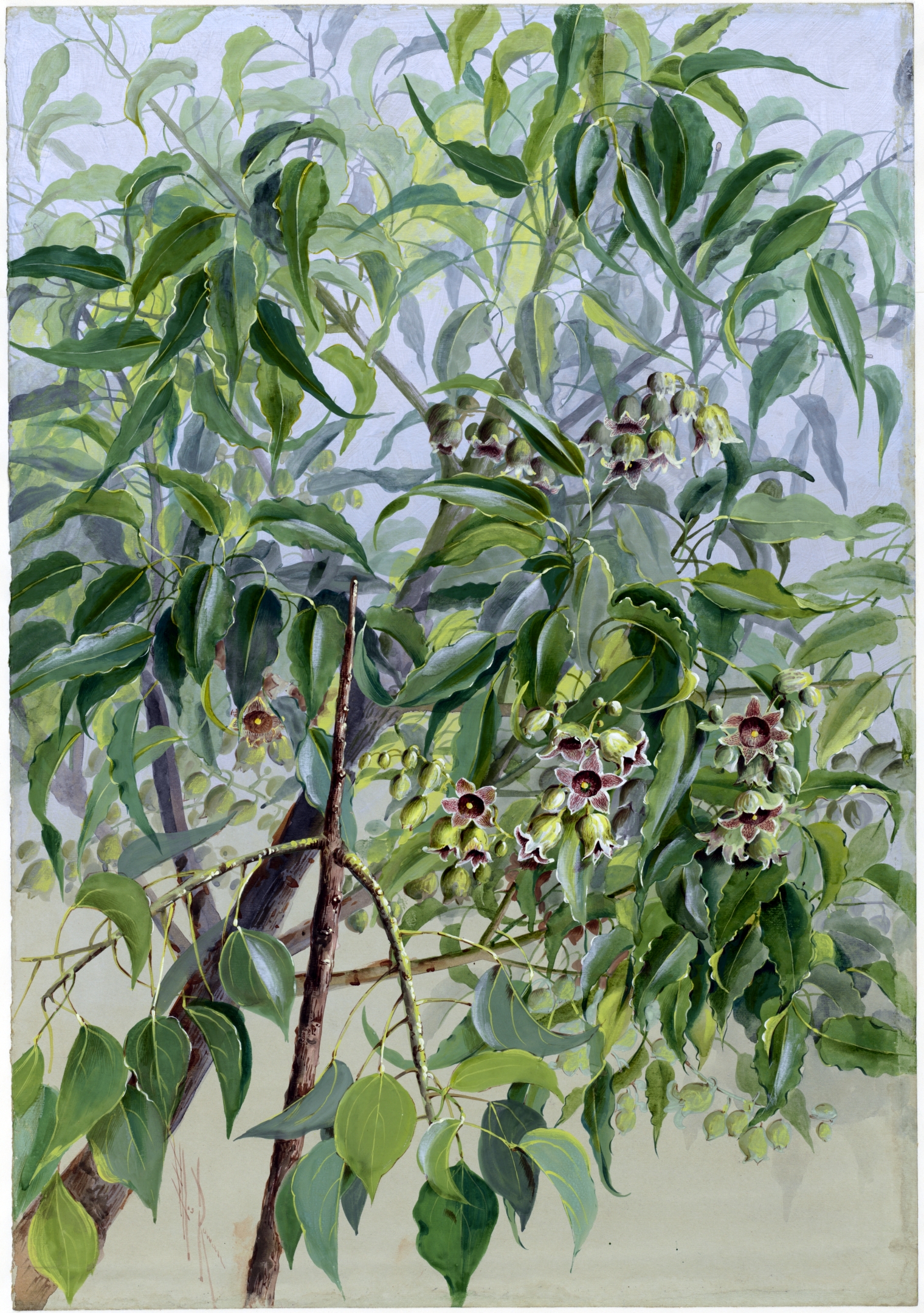 no full size  illustration available (3a)