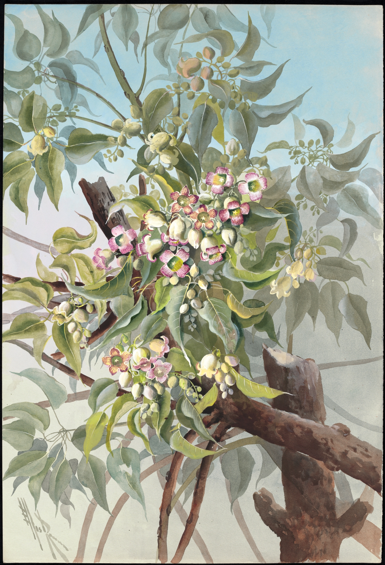 no full size  illustration available (3a)