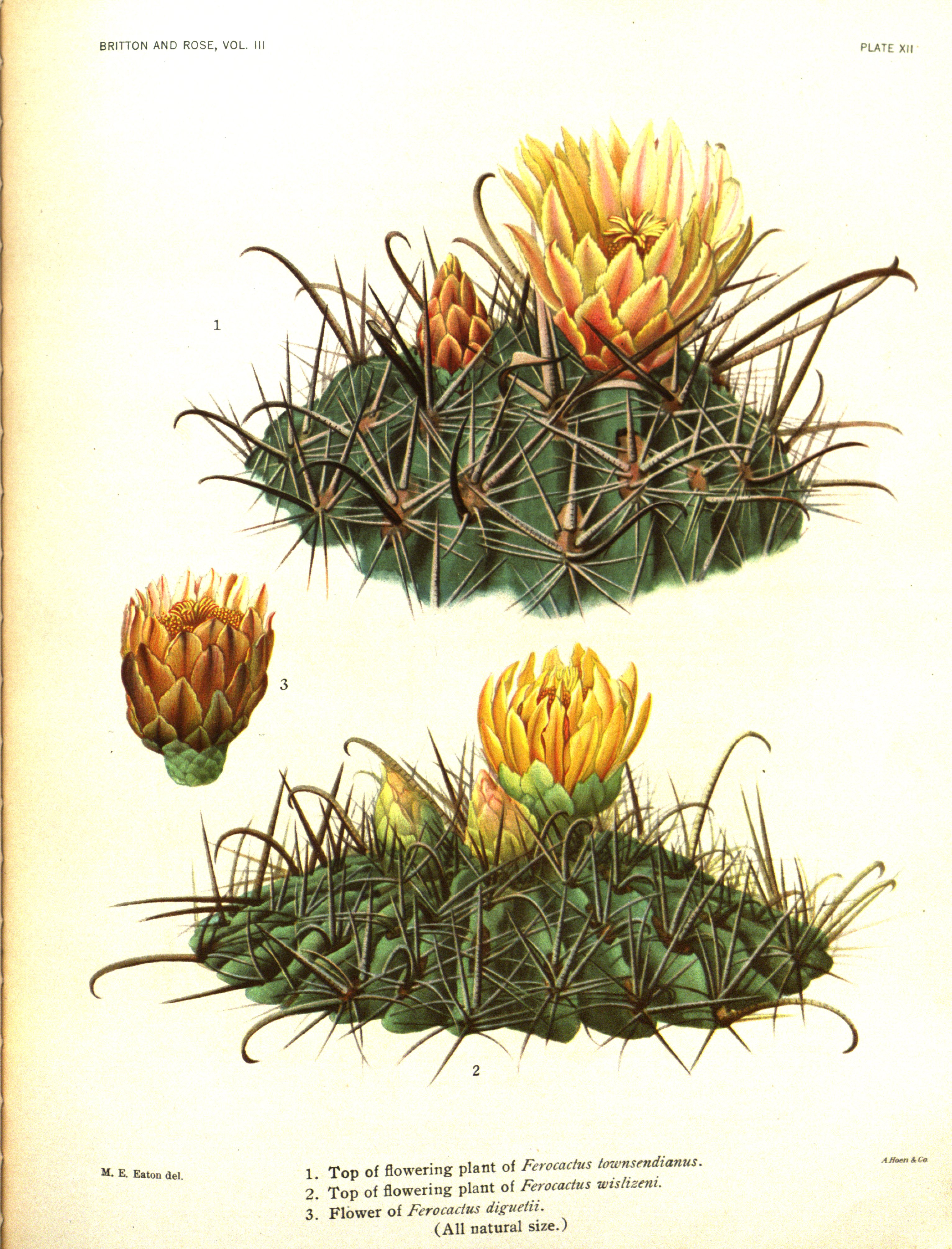 no full size  illustration available (3a)