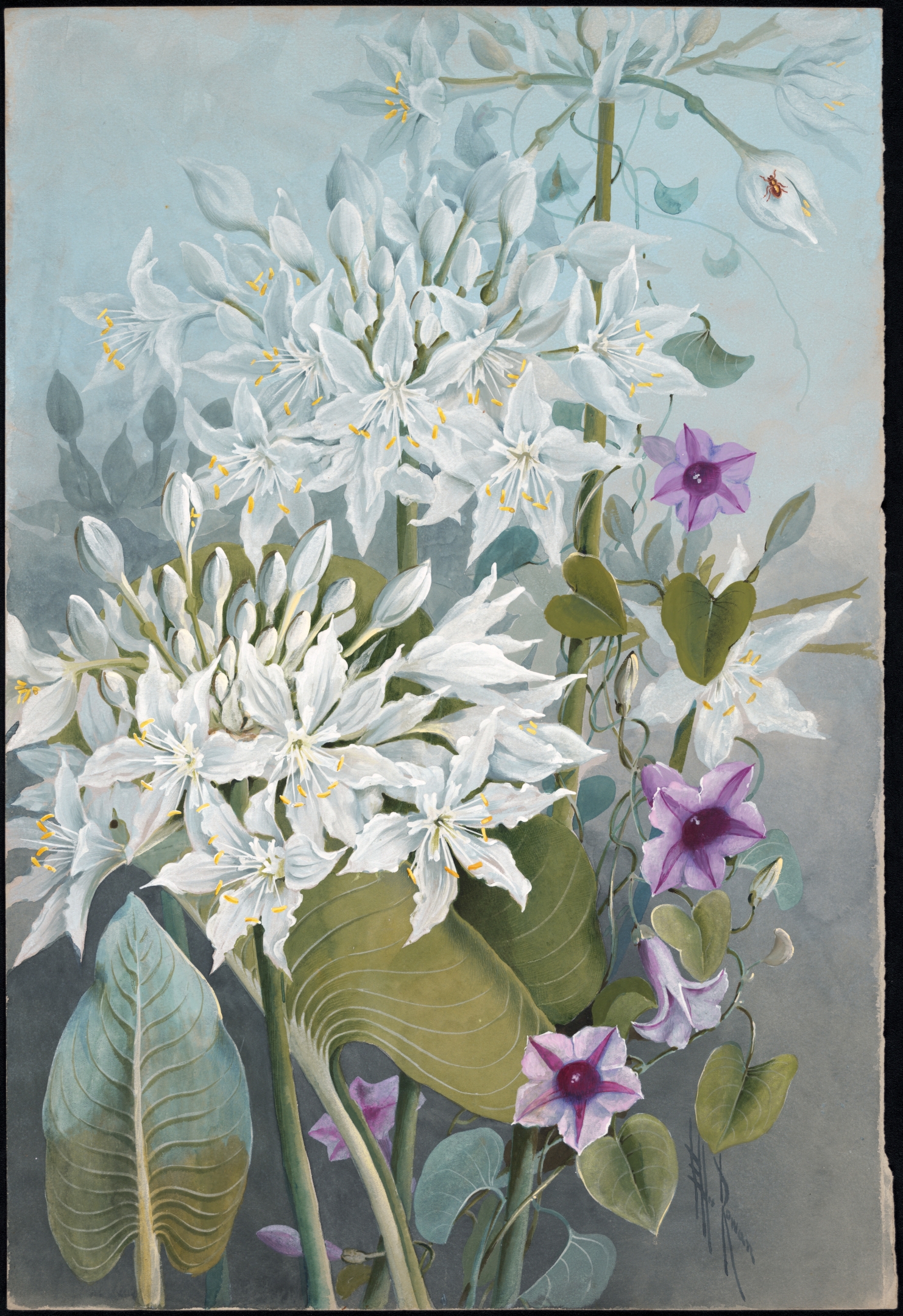 no full size  illustration available (3a)