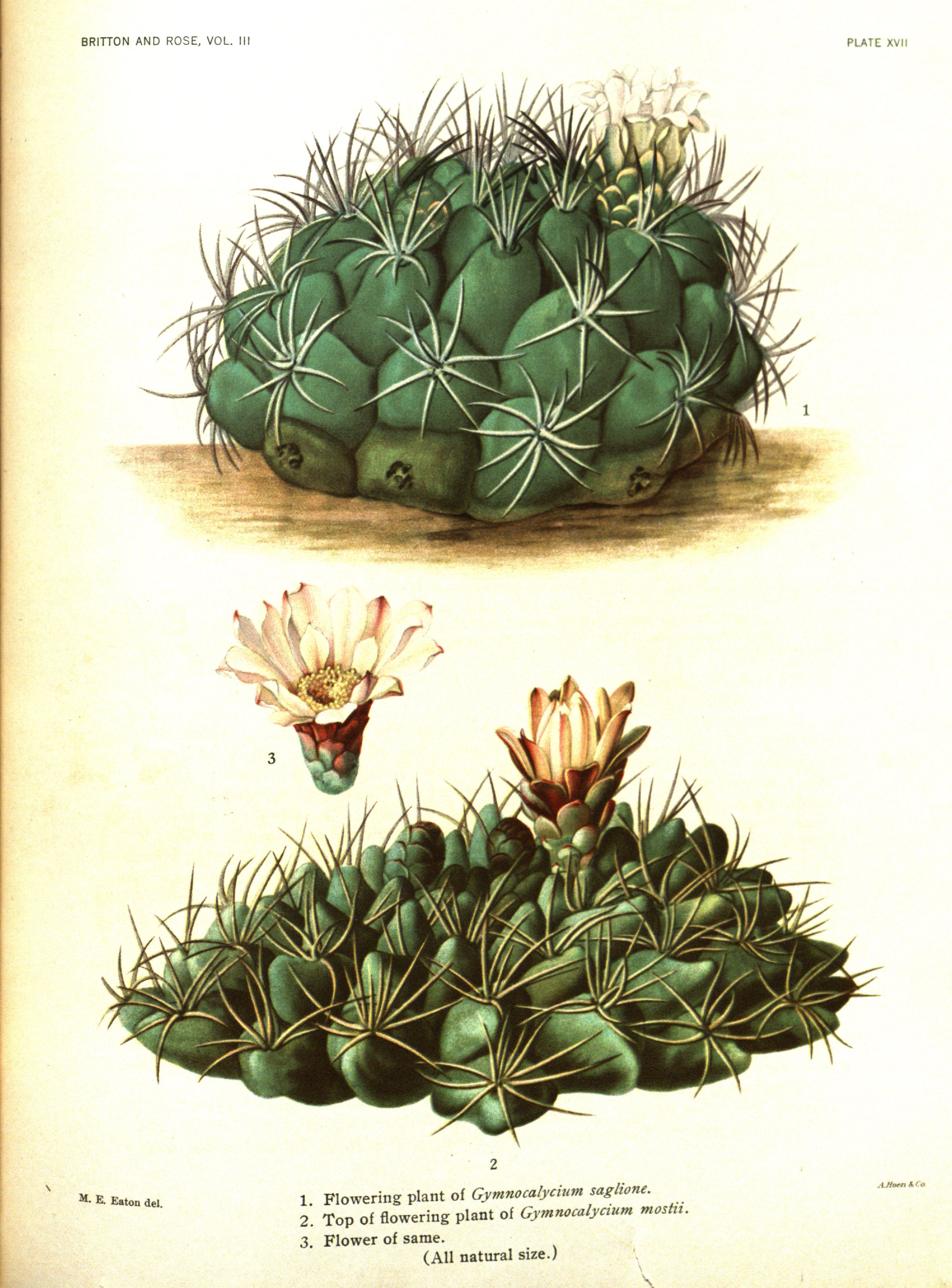 no full size  illustration available (3a)