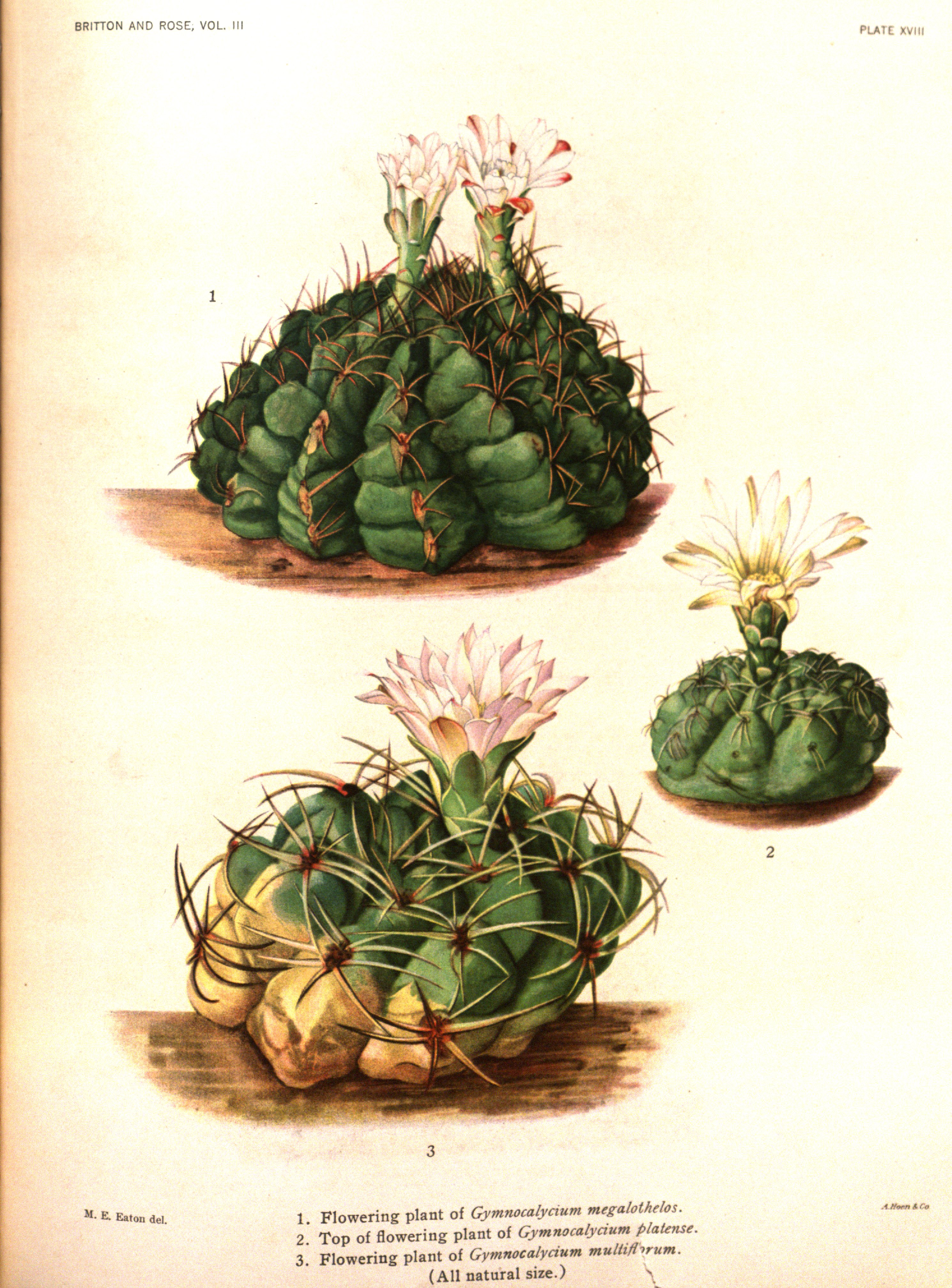 no full size  illustration available (3a)