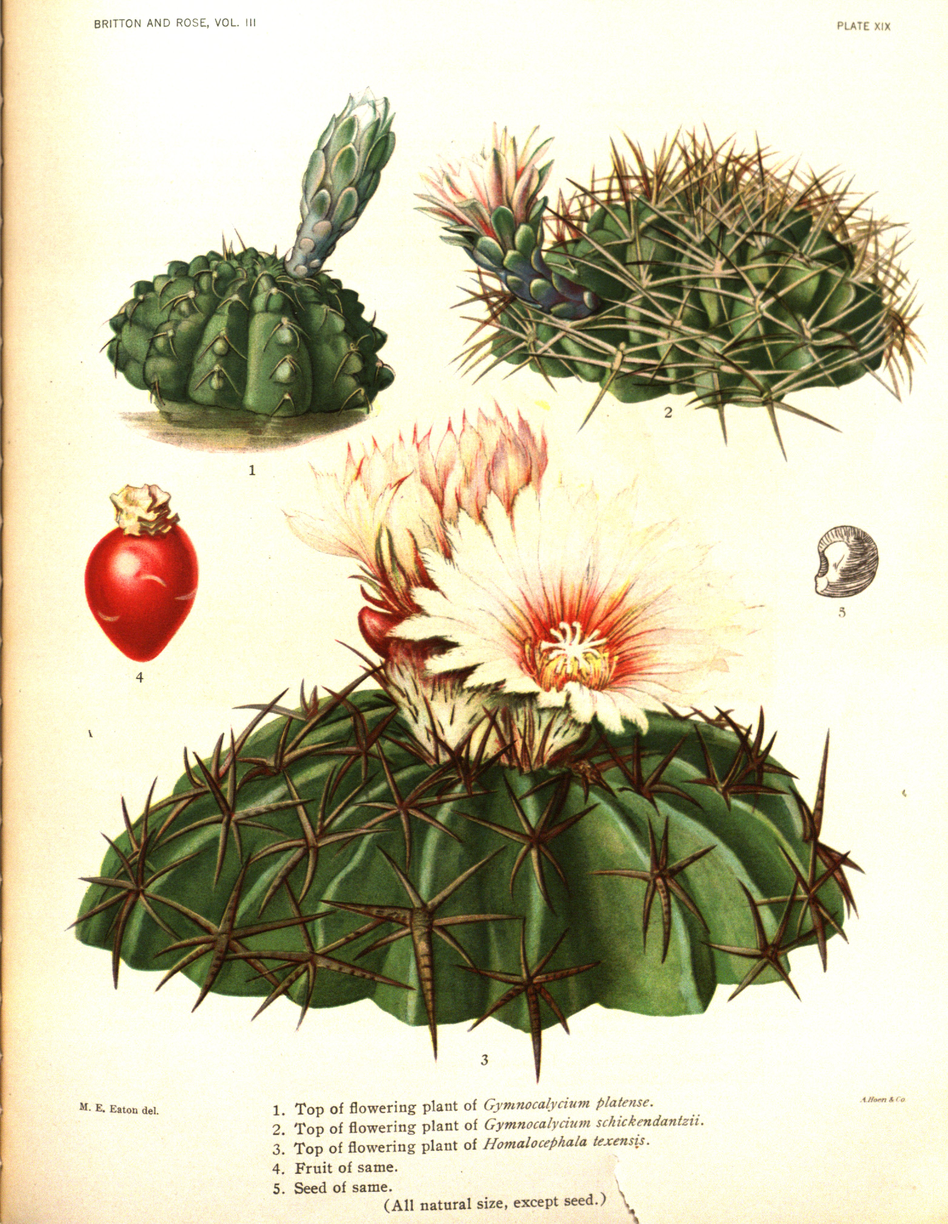 no full size  illustration available (3a)