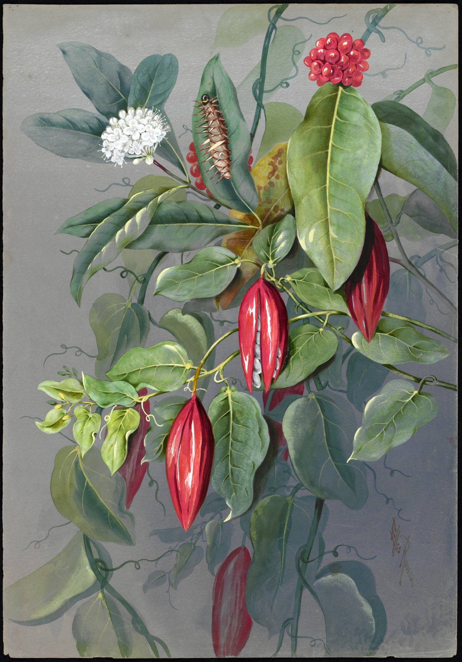 no full size  illustration available (3a)