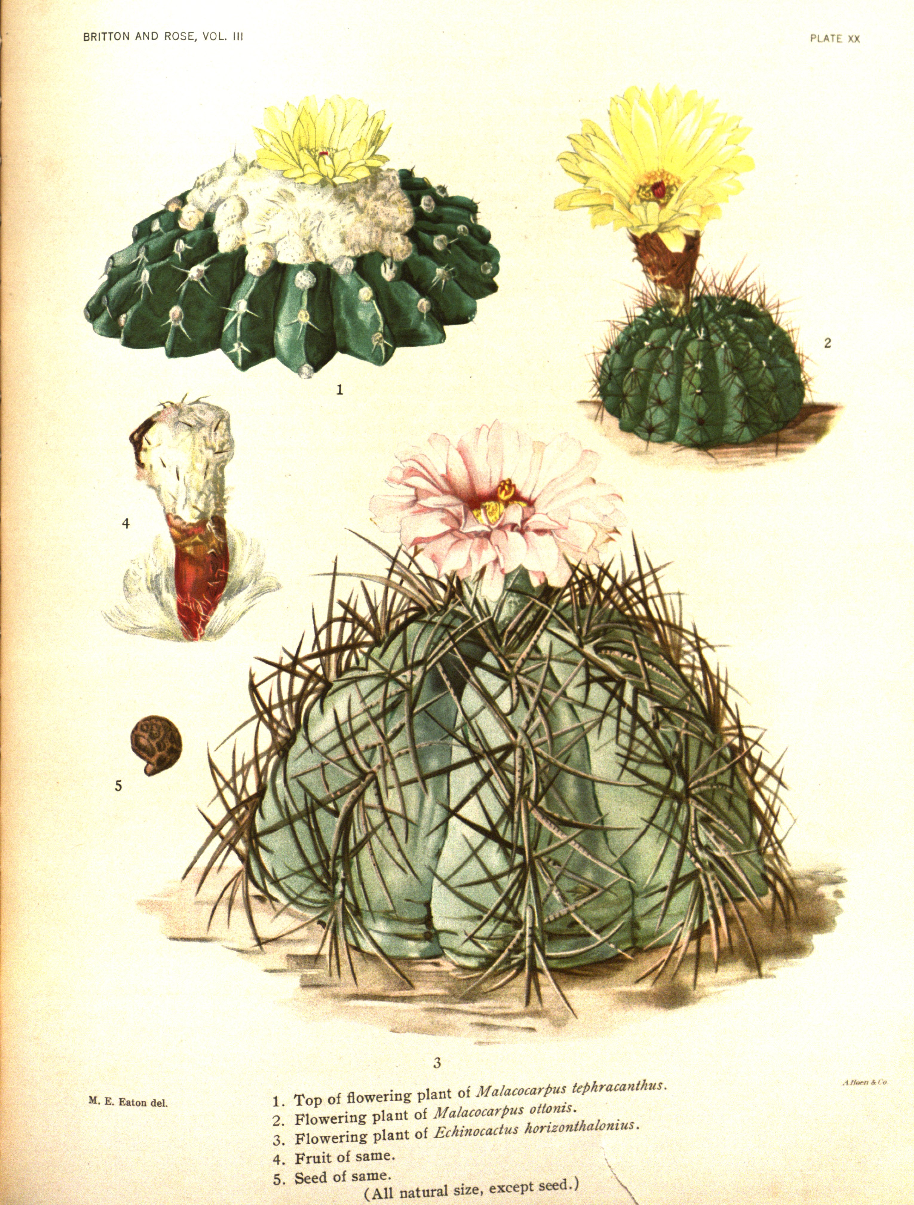 no full size  illustration available (3a)