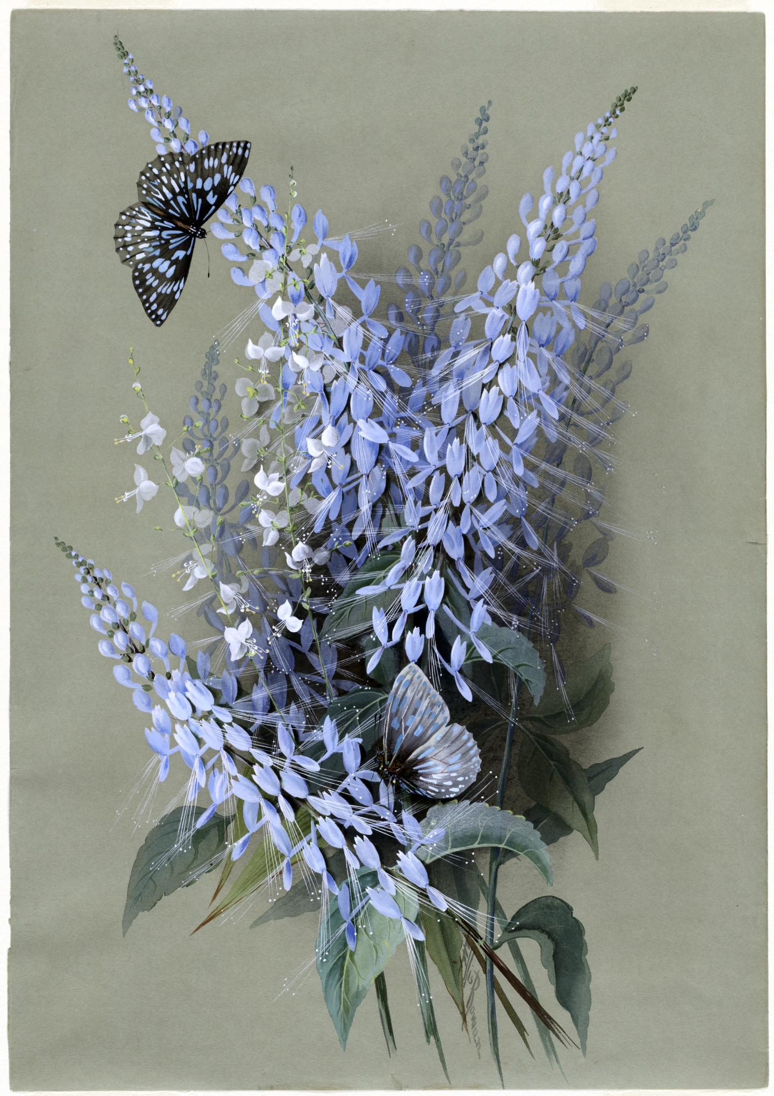 no full size  illustration available (3a)