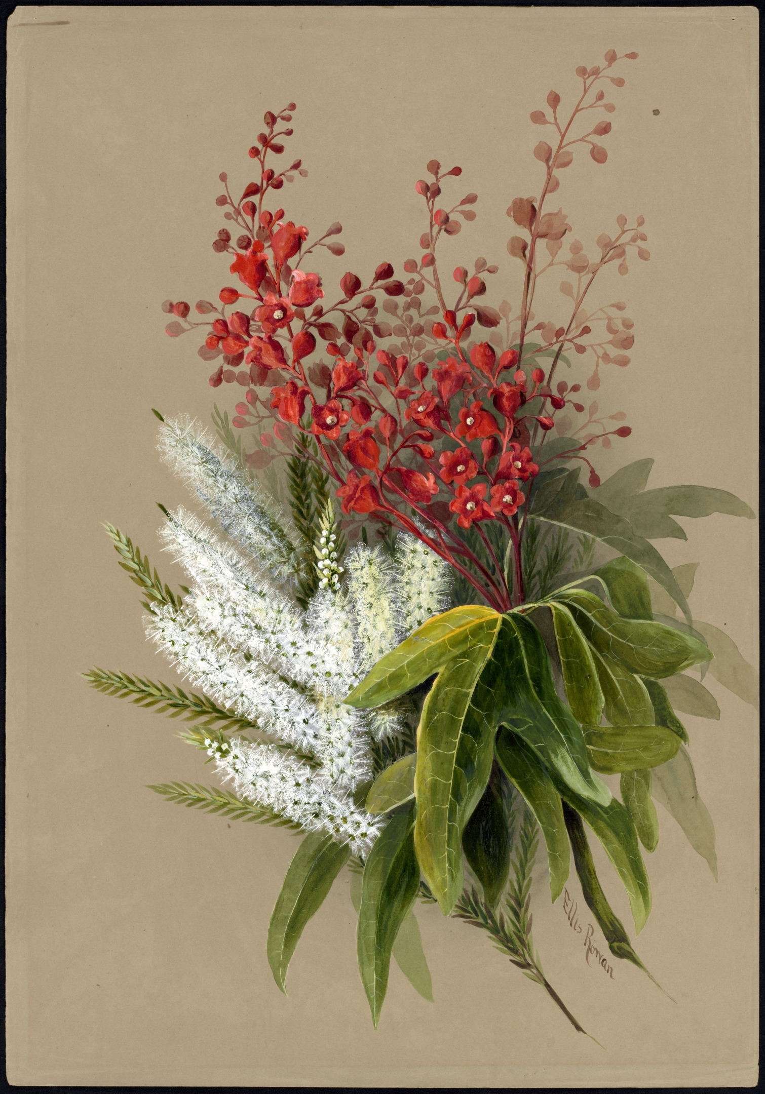 no full size  illustration available (3a)