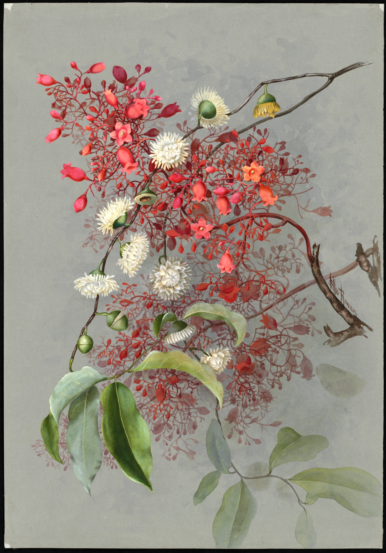 no full size  illustration available (3a)