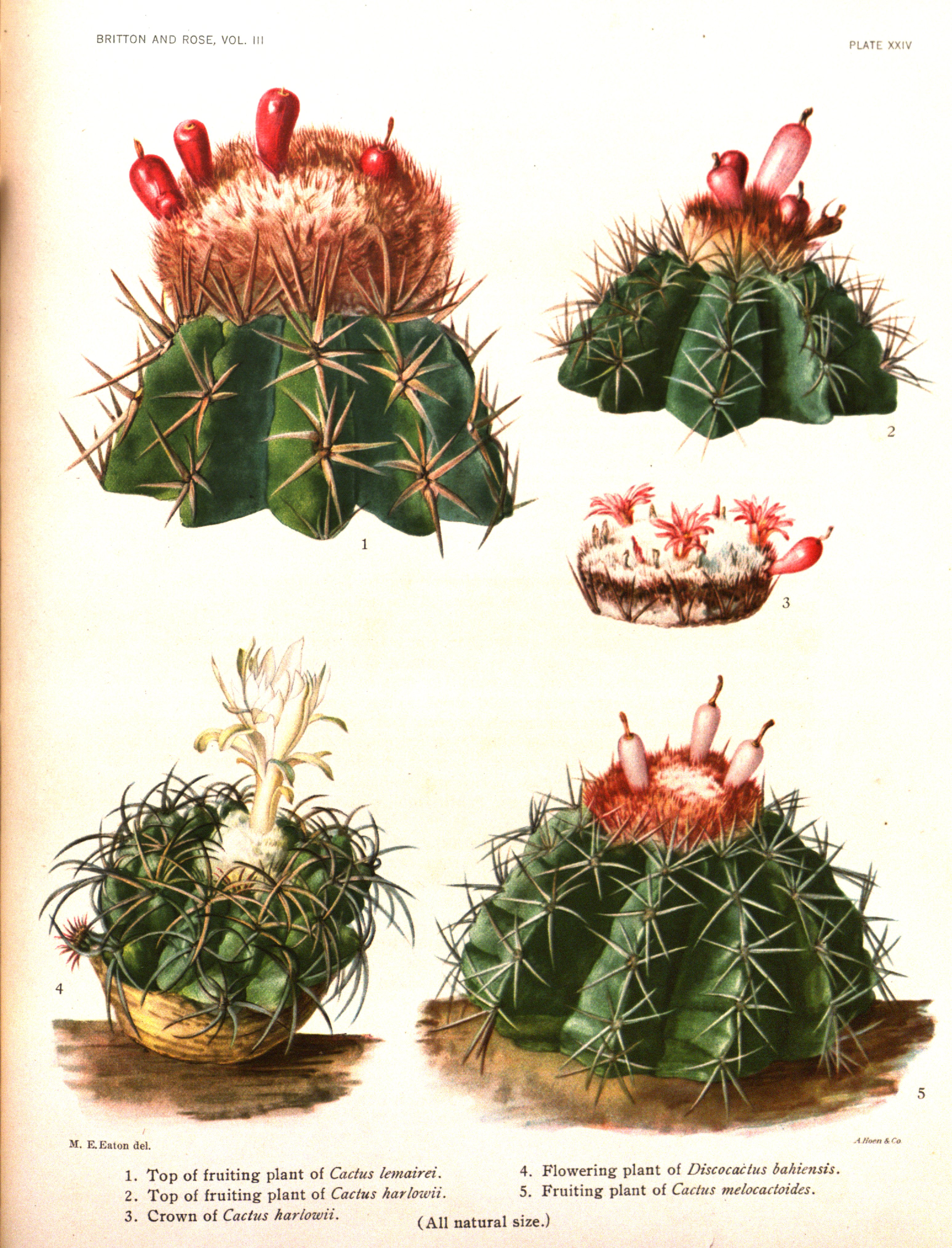 no full size  illustration available (3a)