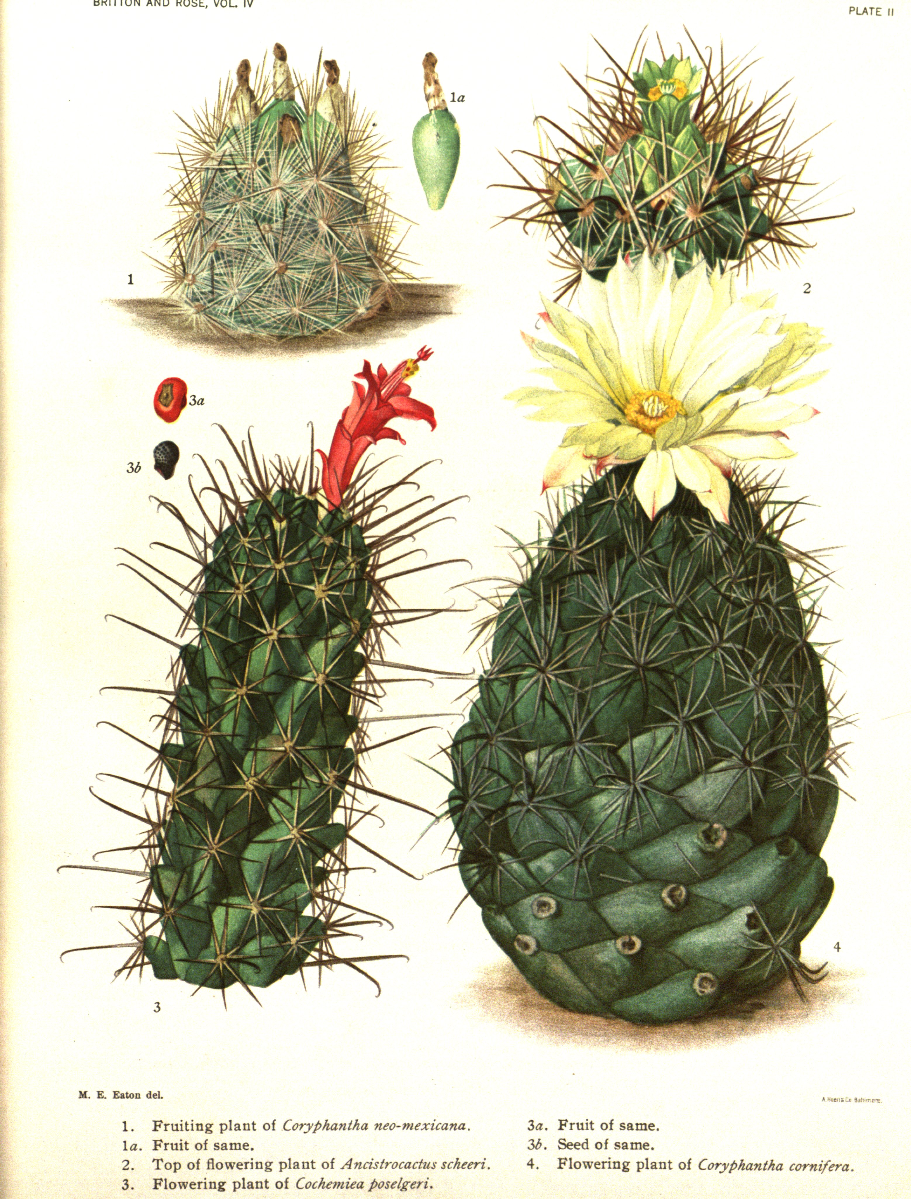 no full size  illustration available (3a)