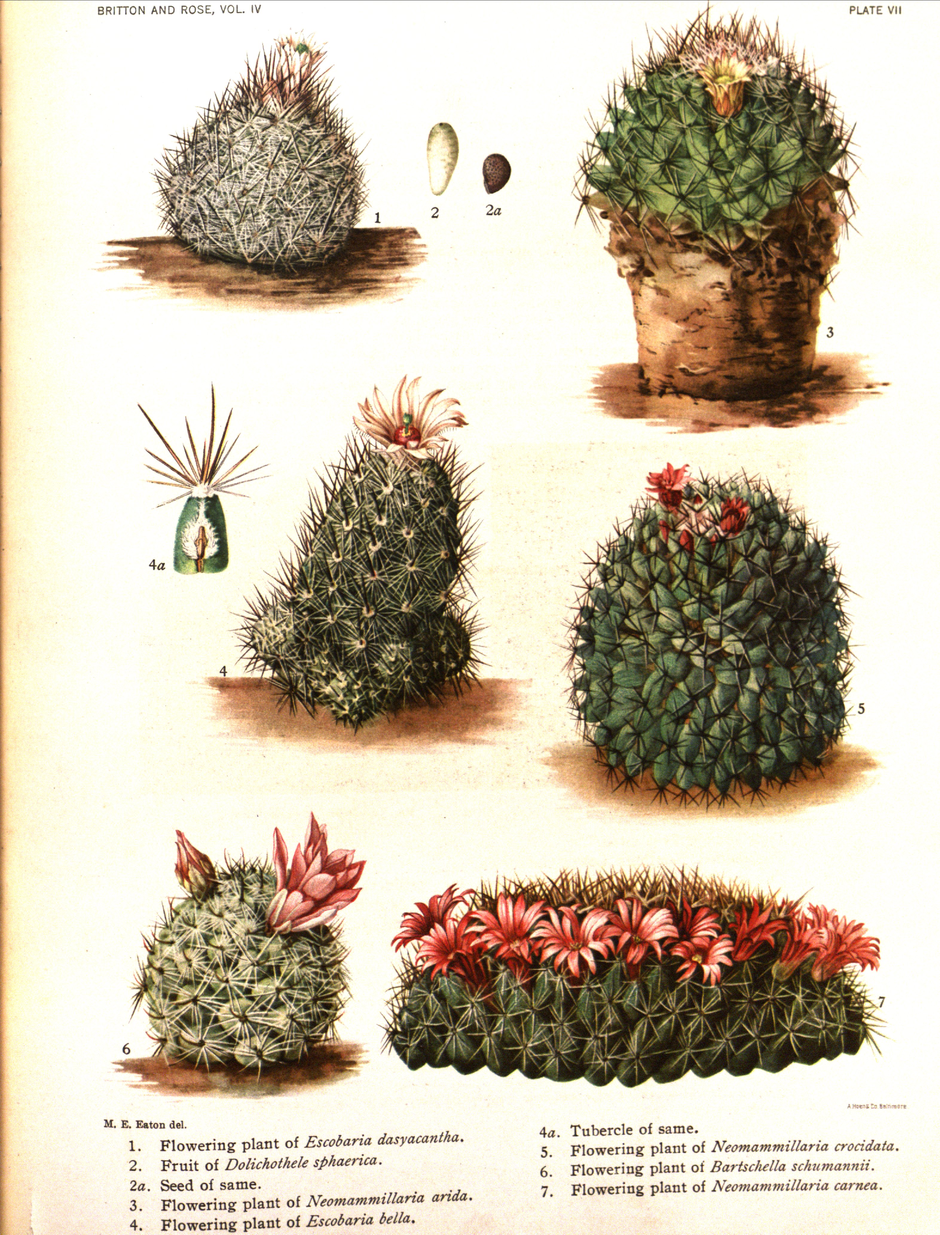 no full size  illustration available (3a)