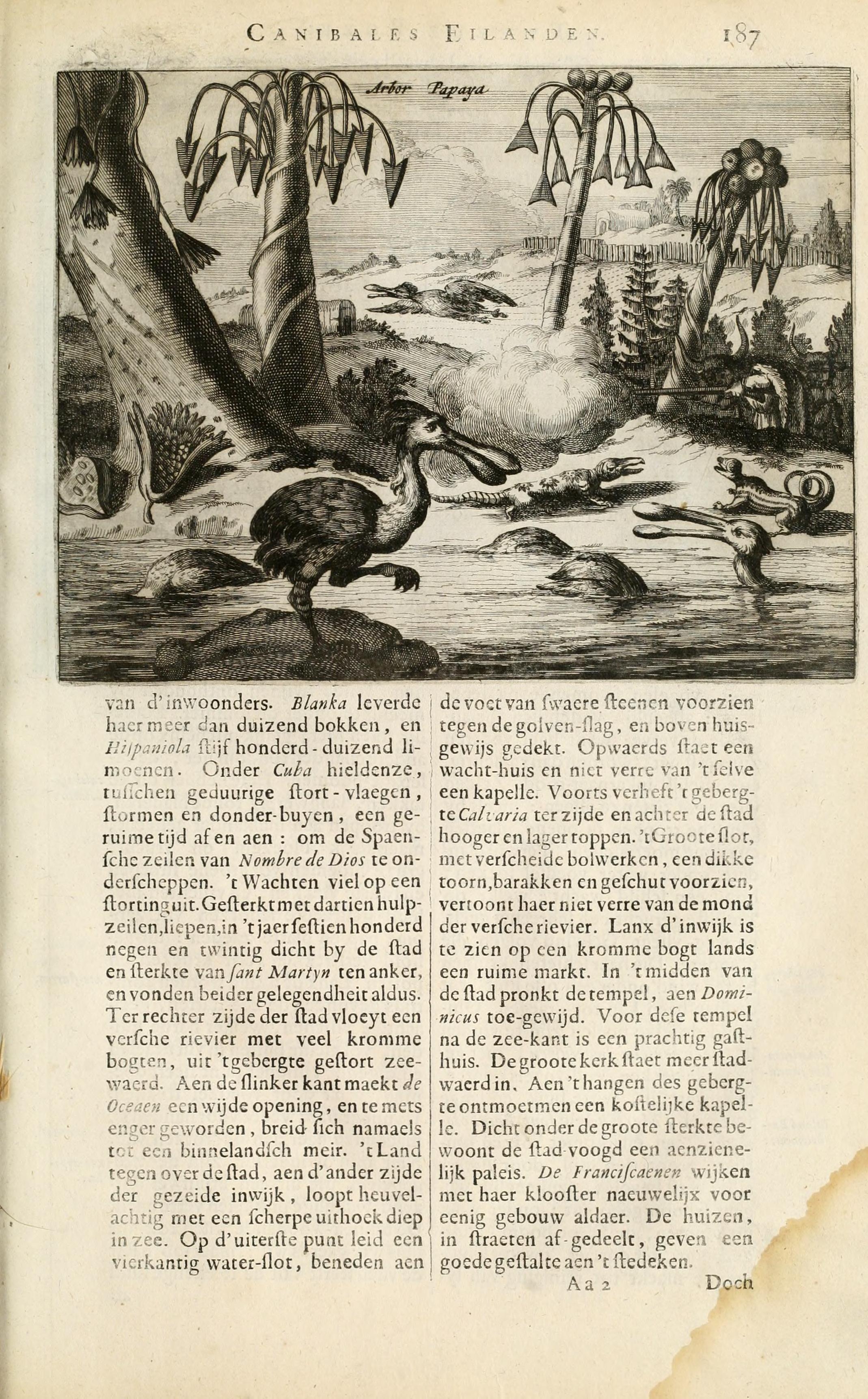 no full size  illustration available (3a)