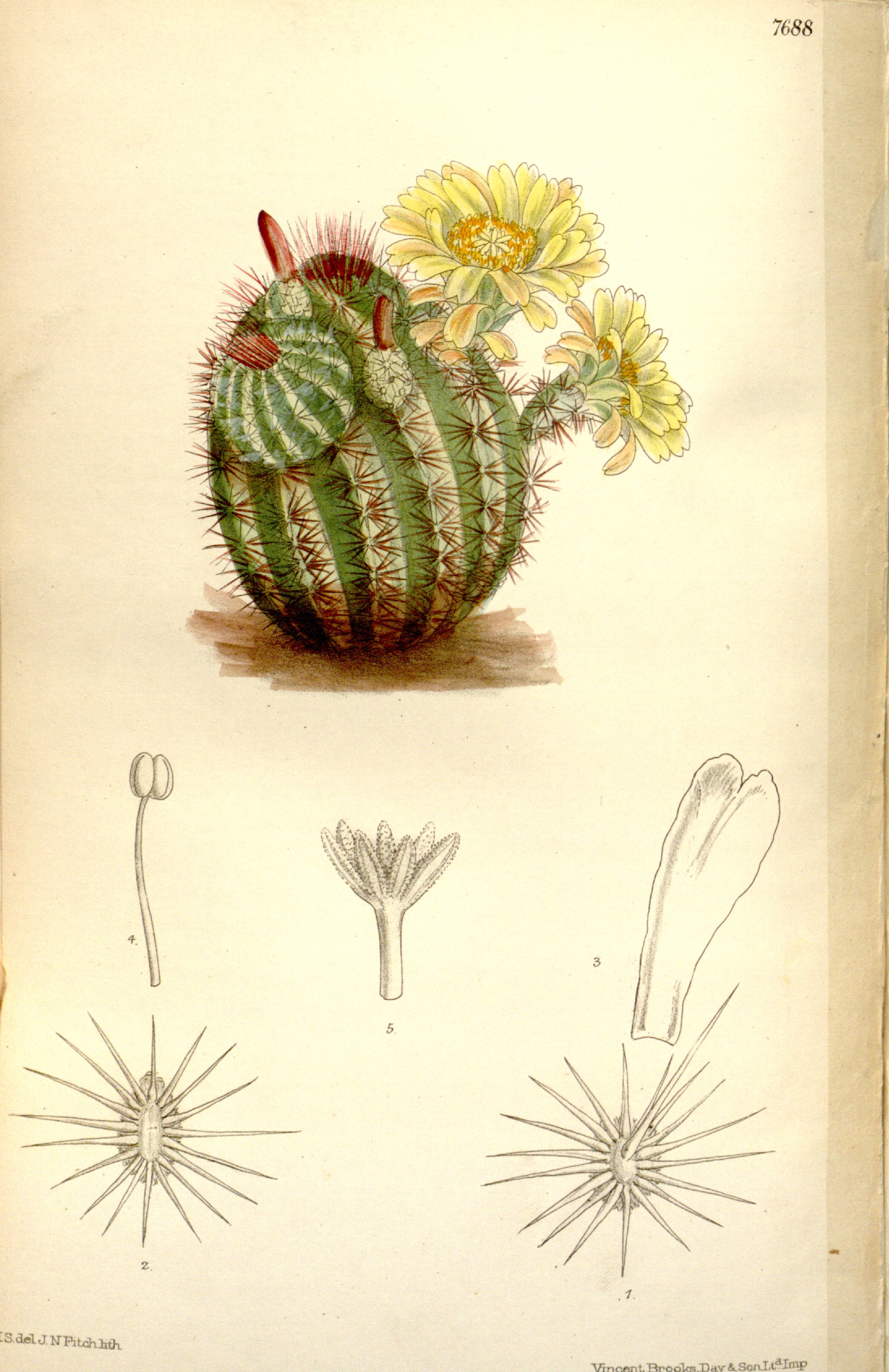 no full size  illustration available (3a)