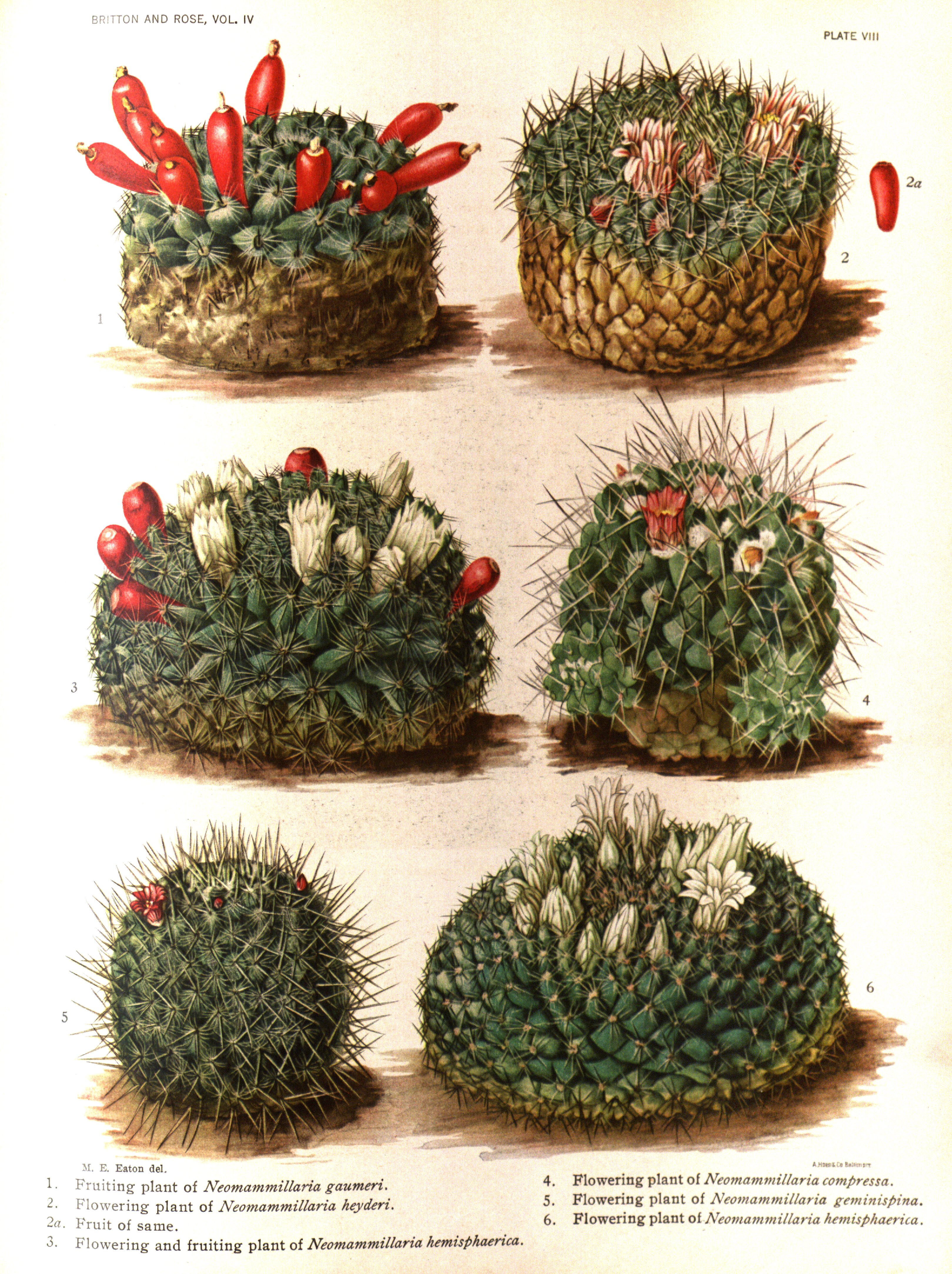 no full size  illustration available (3a)