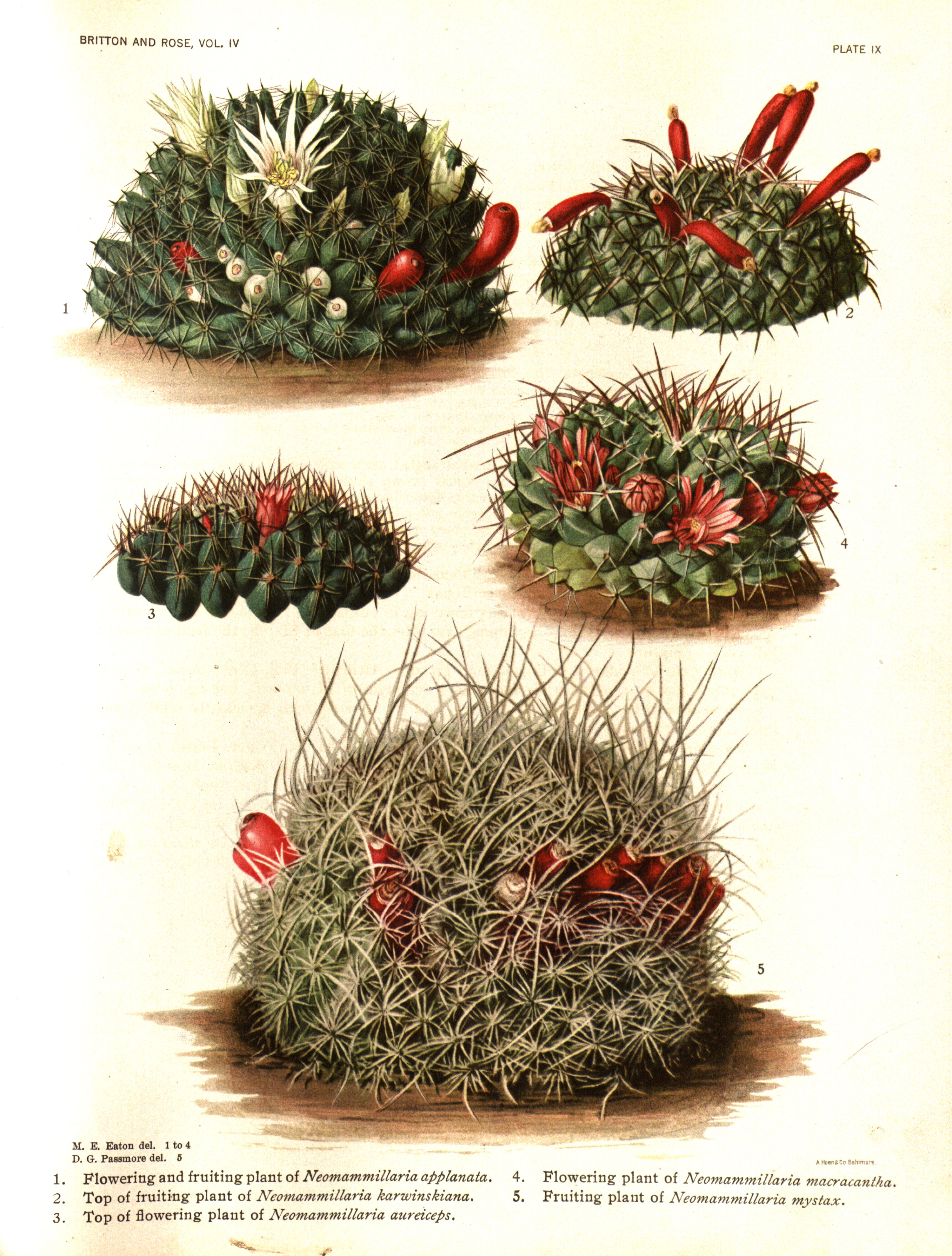 no full size  illustration available (3a)