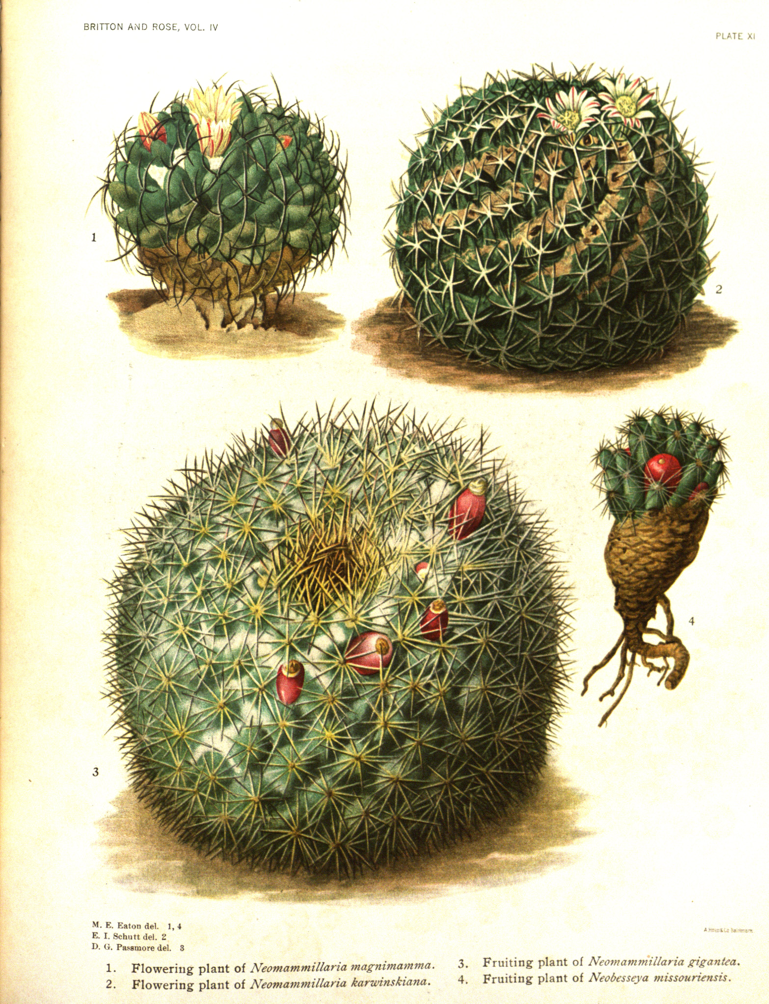 no full size  illustration available (3a)