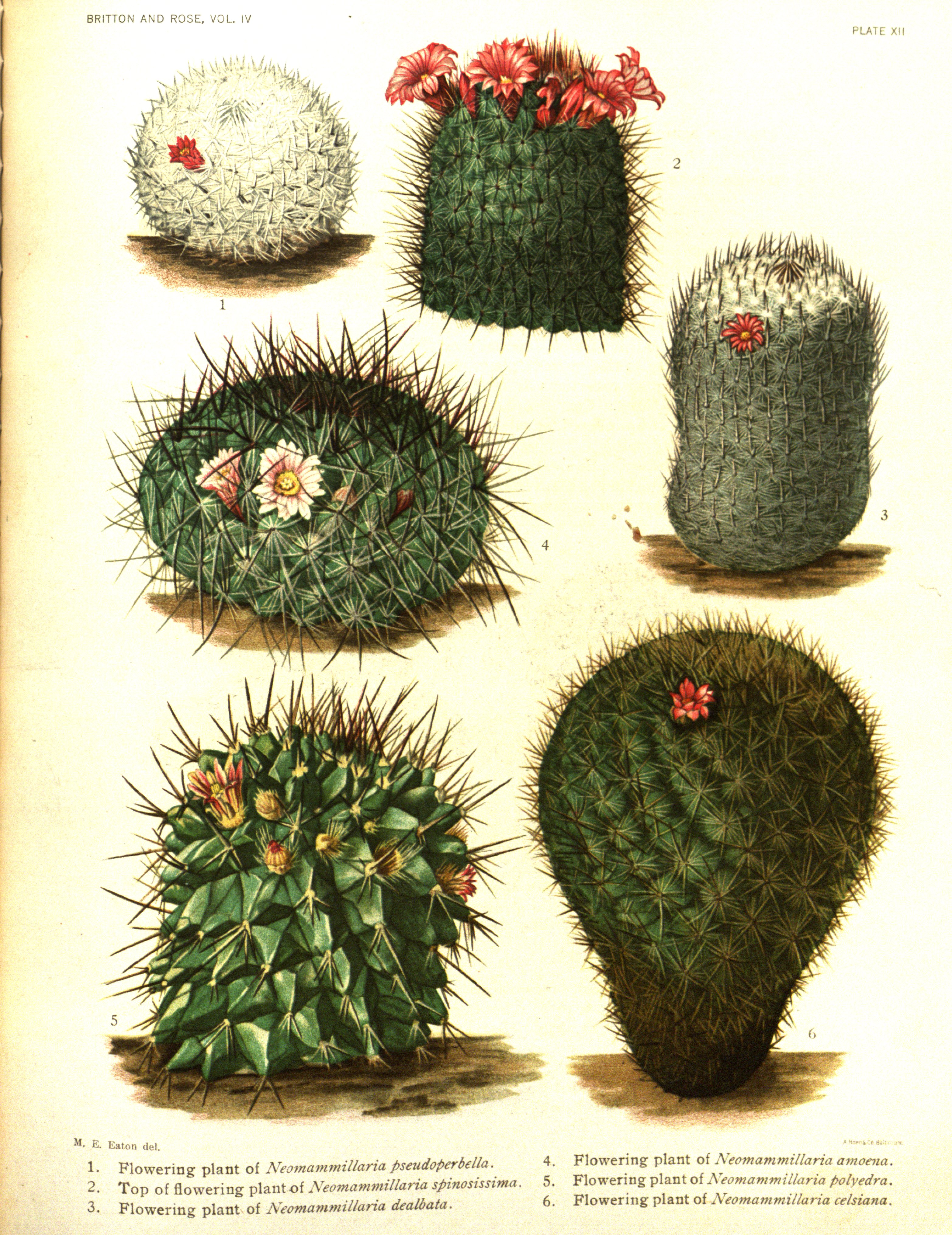 no full size  illustration available (3a)