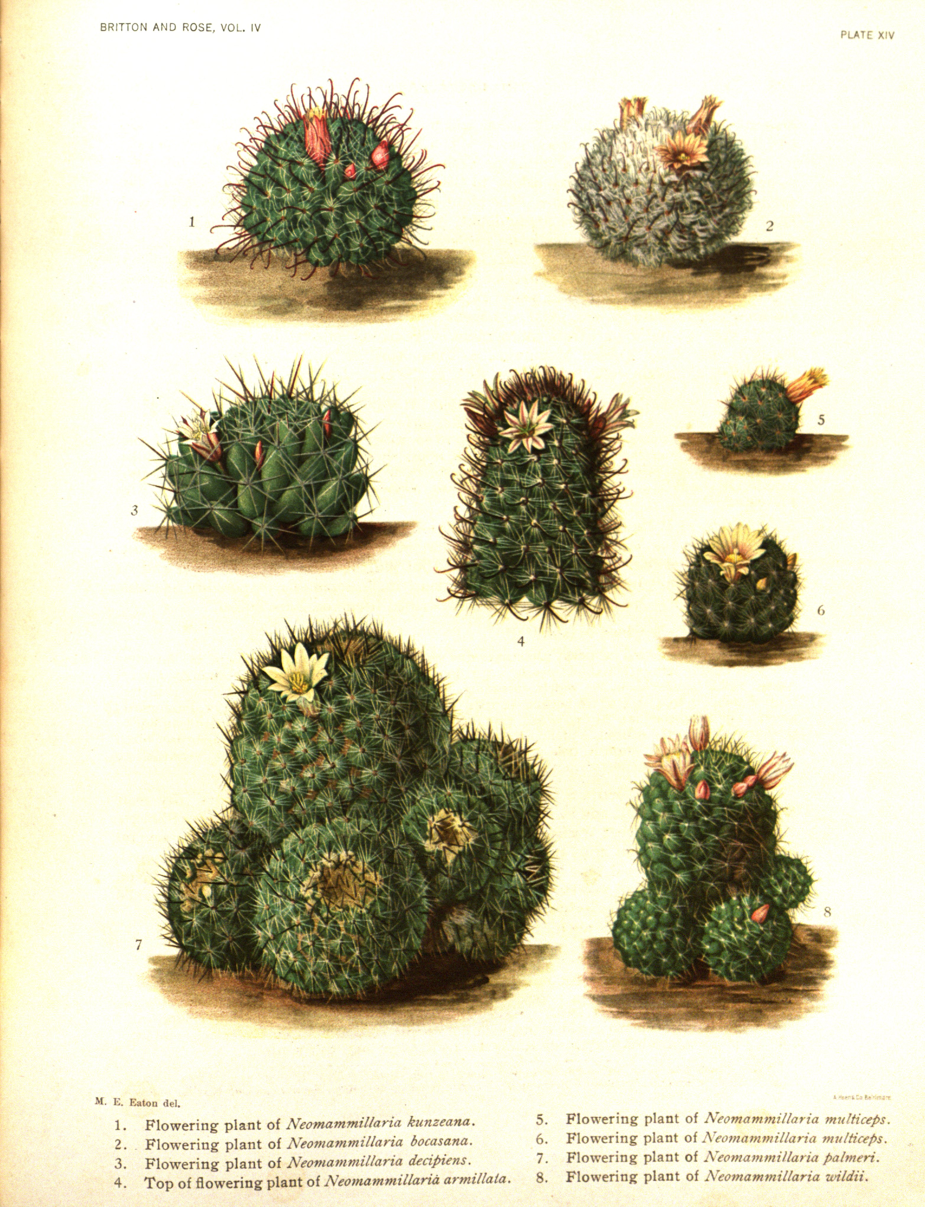 no full size  illustration available (3a)