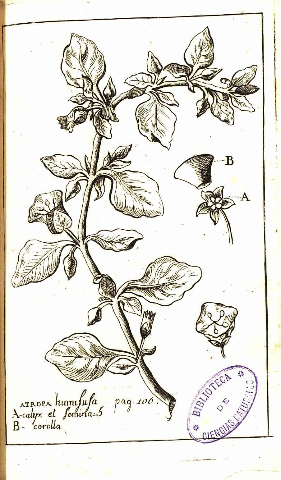 no full size  illustration available (3a)