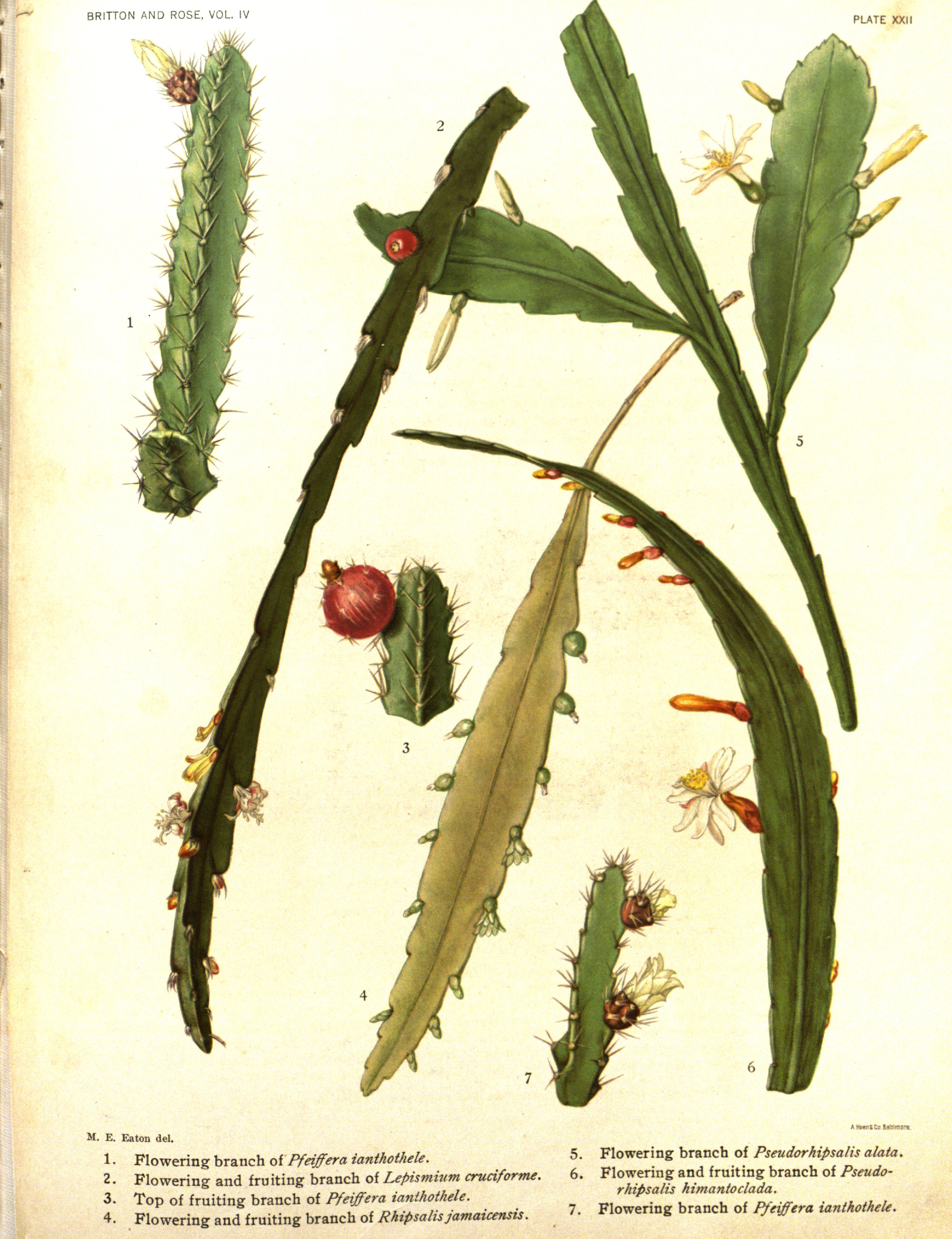 no full size  illustration available (3a)