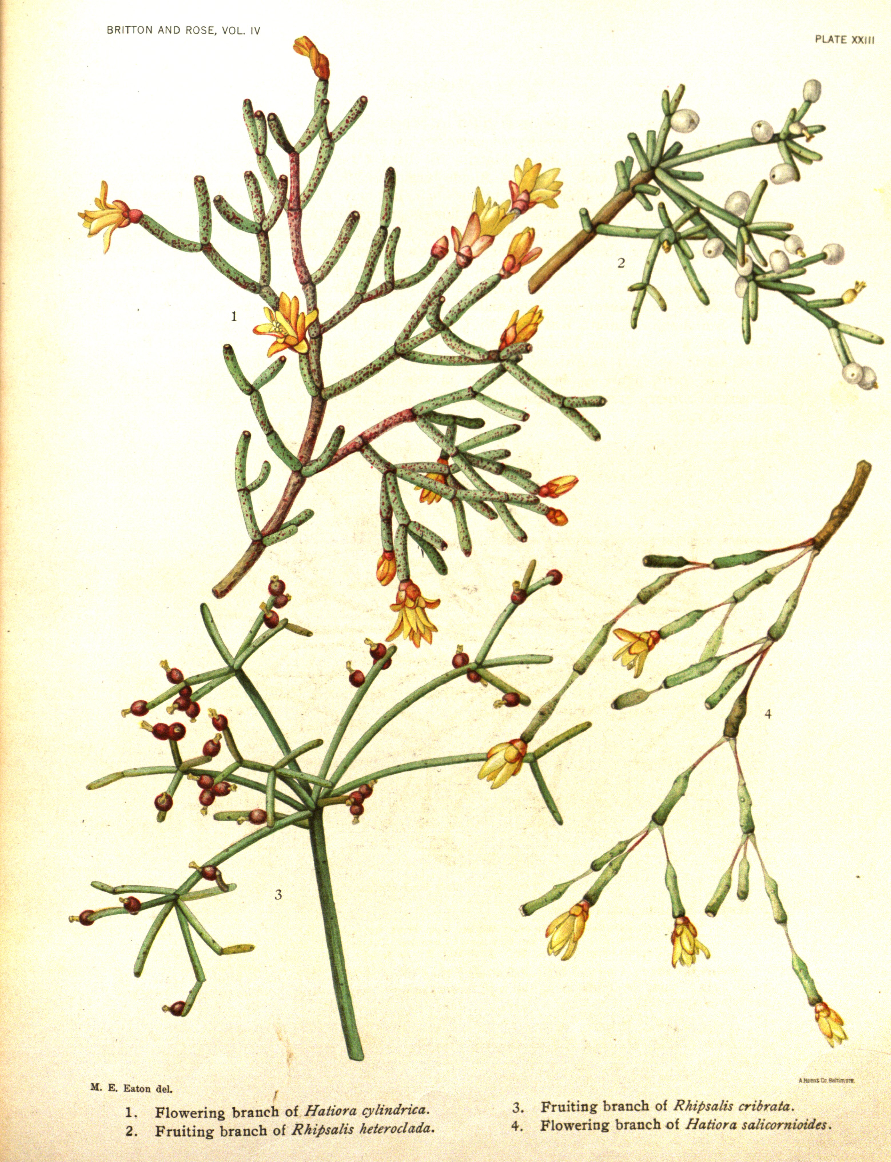 no full size  illustration available (3a)