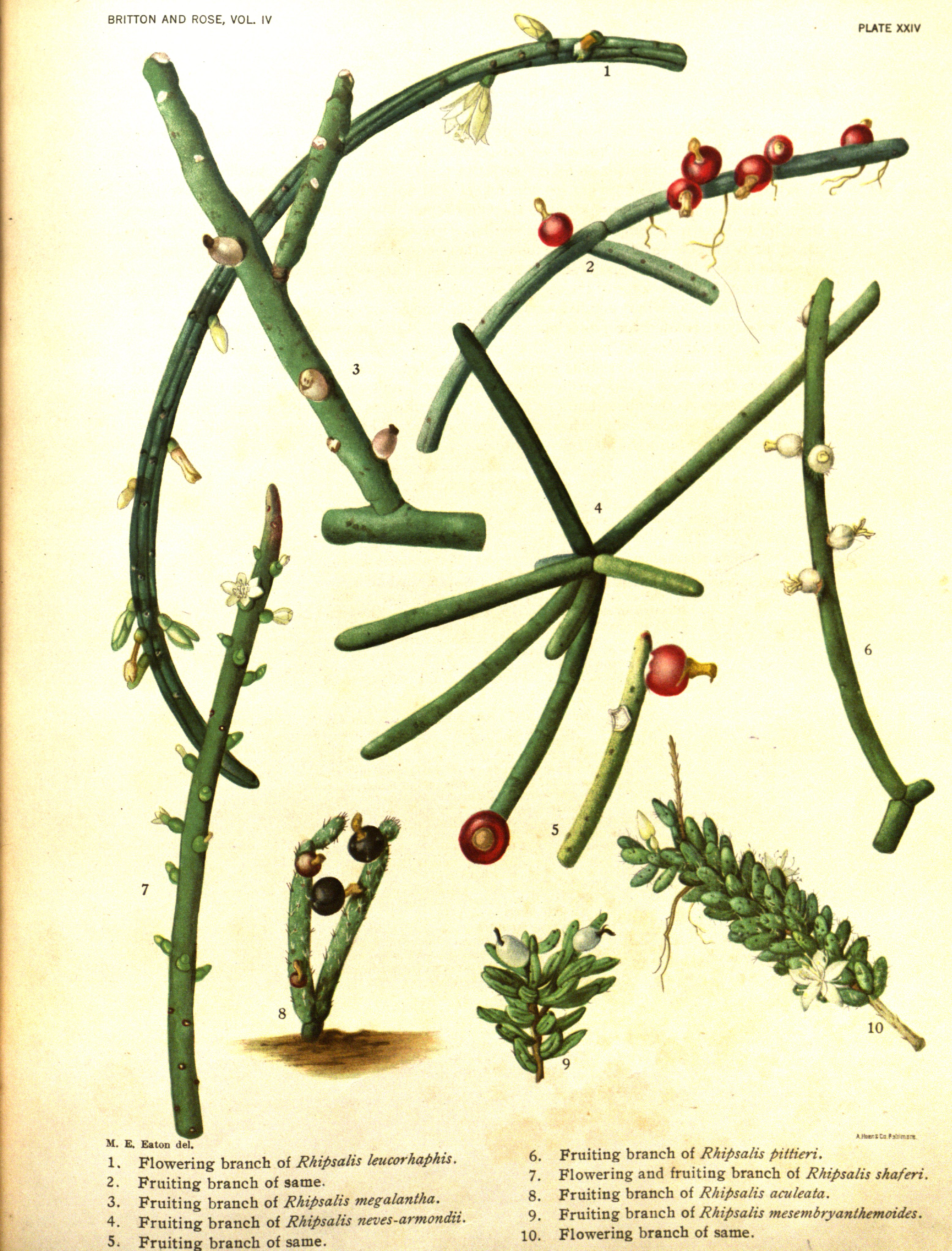 no full size  illustration available (3a)