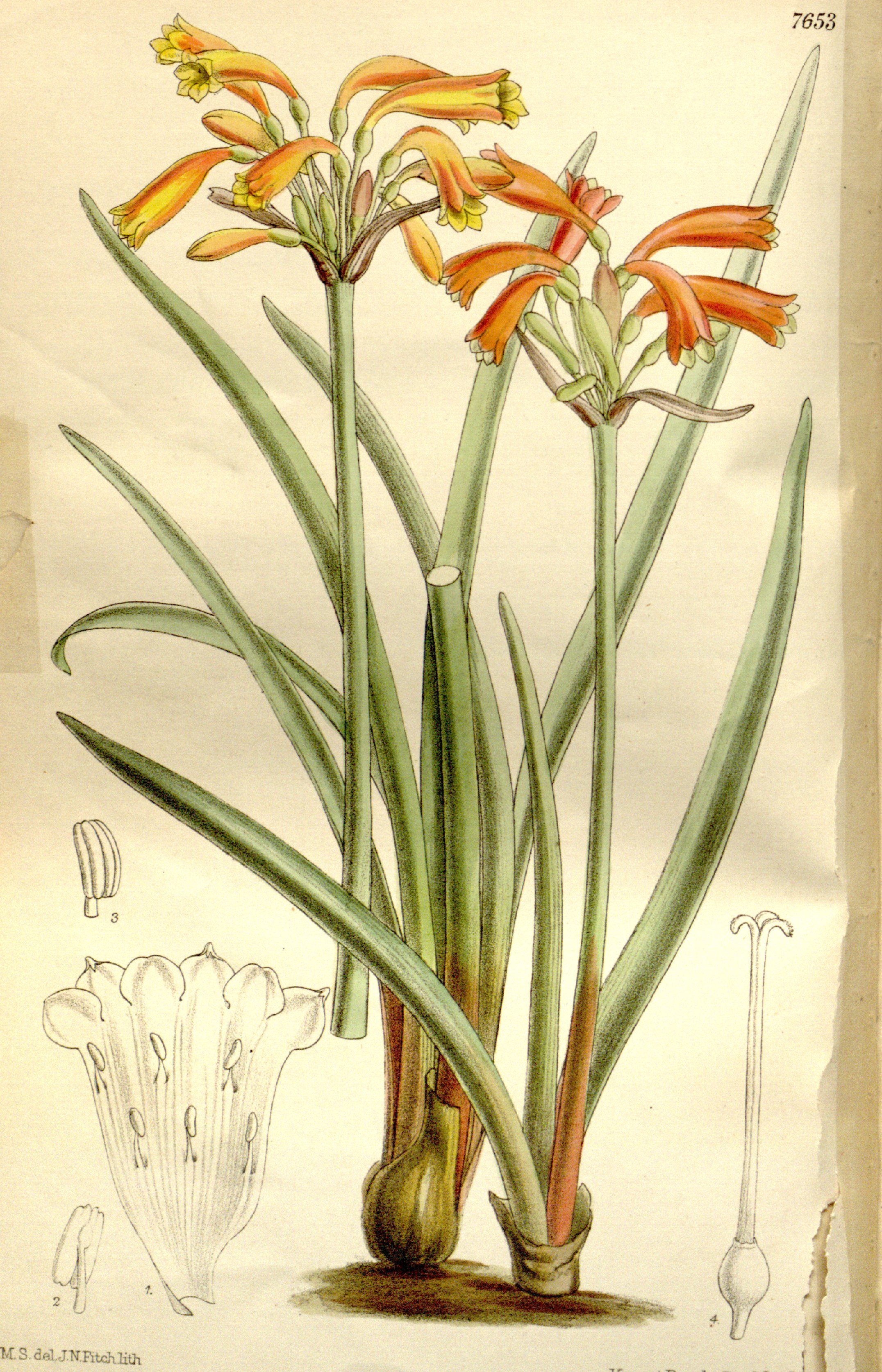 no full size  illustration available (3a)