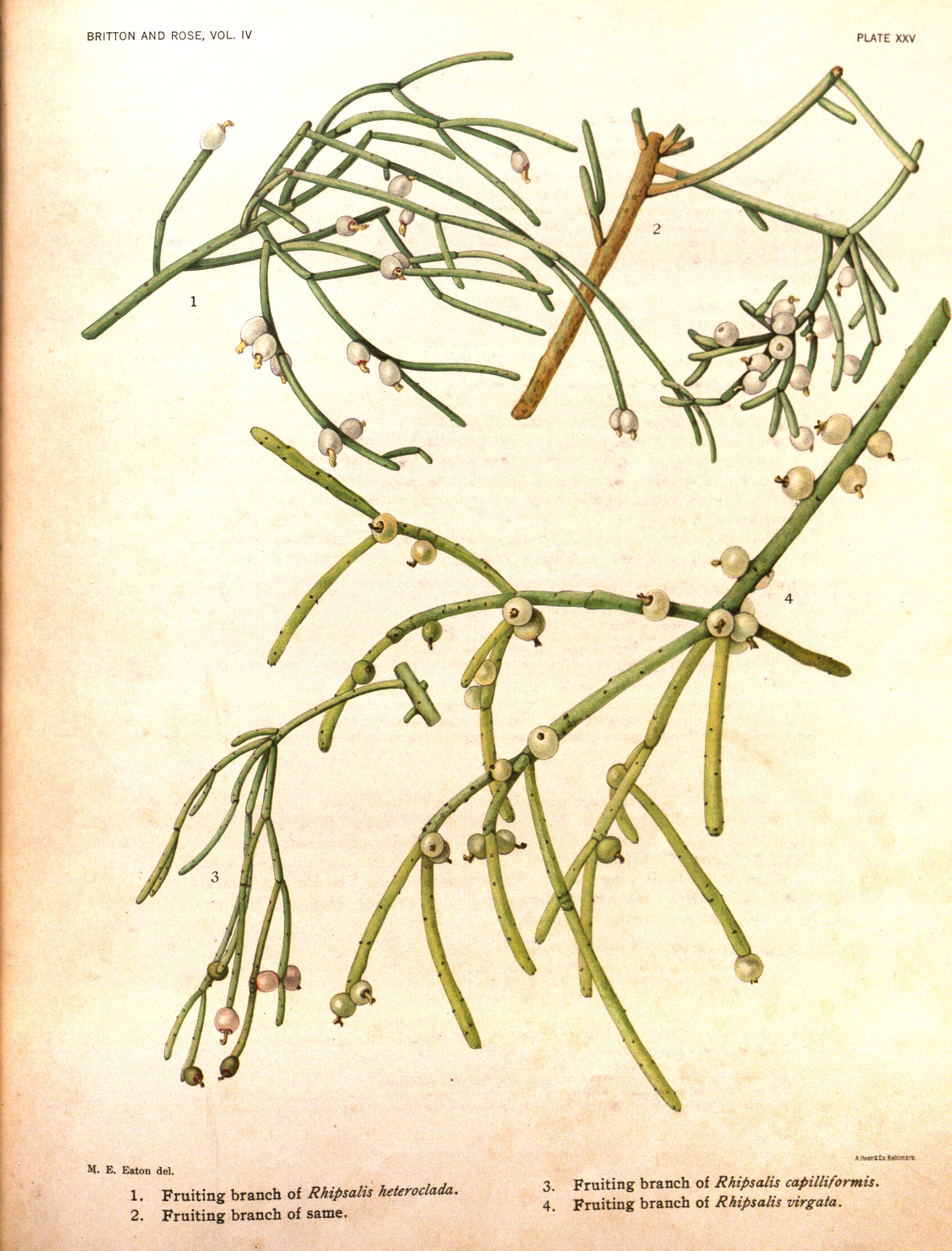 no full size  illustration available (3a)