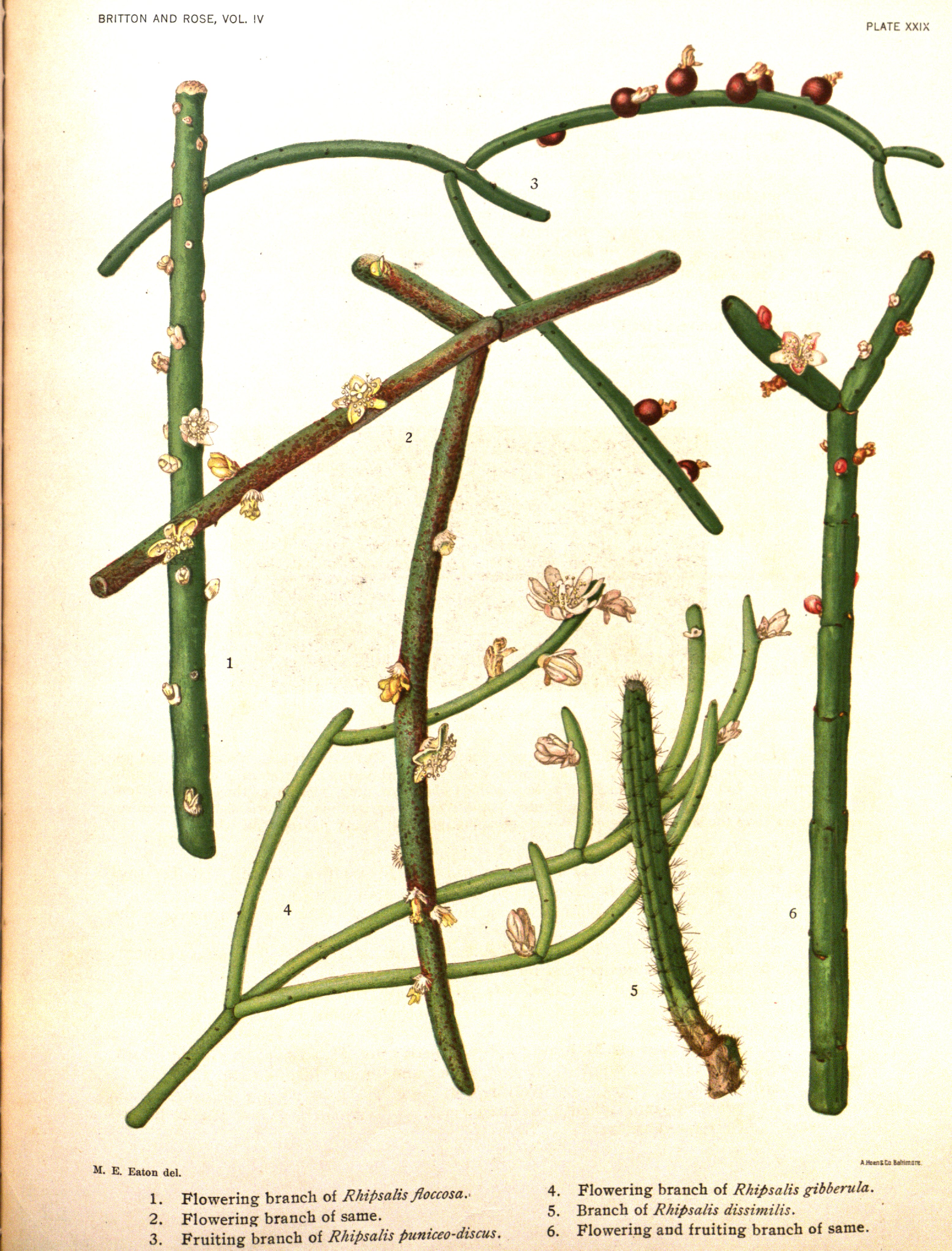 no full size  illustration available (3a)