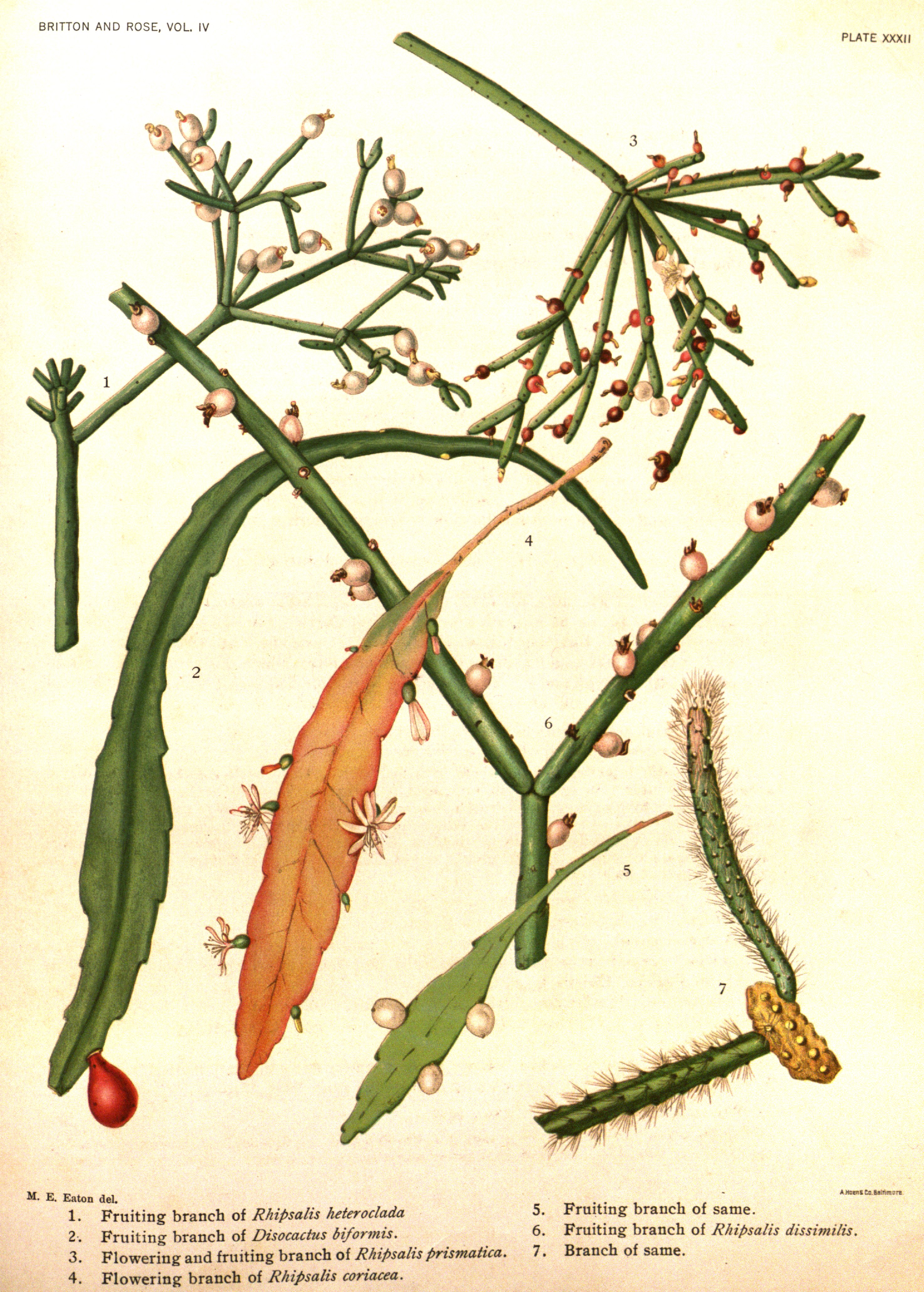 no full size  illustration available (3a)