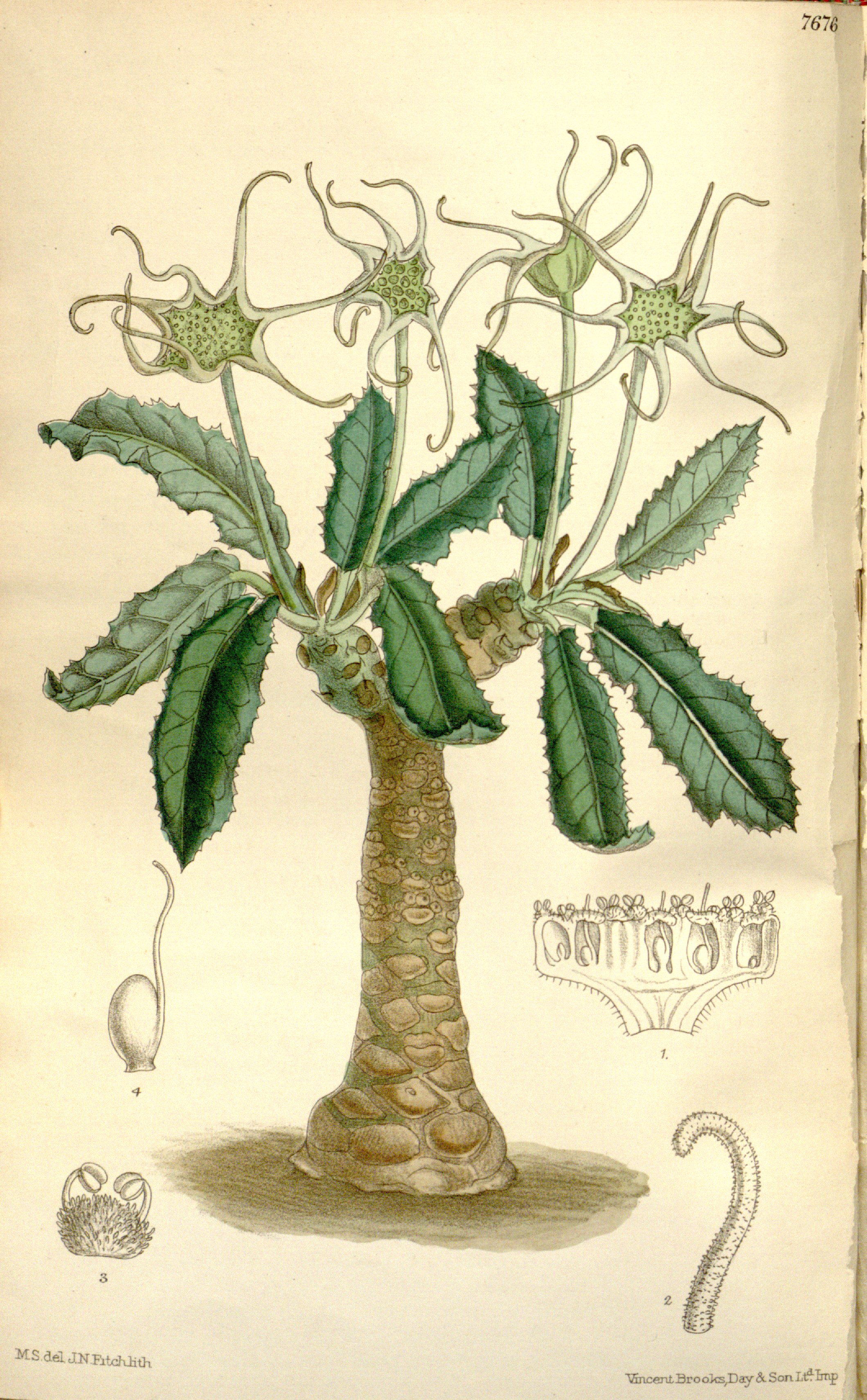 no full size  illustration available (3a)