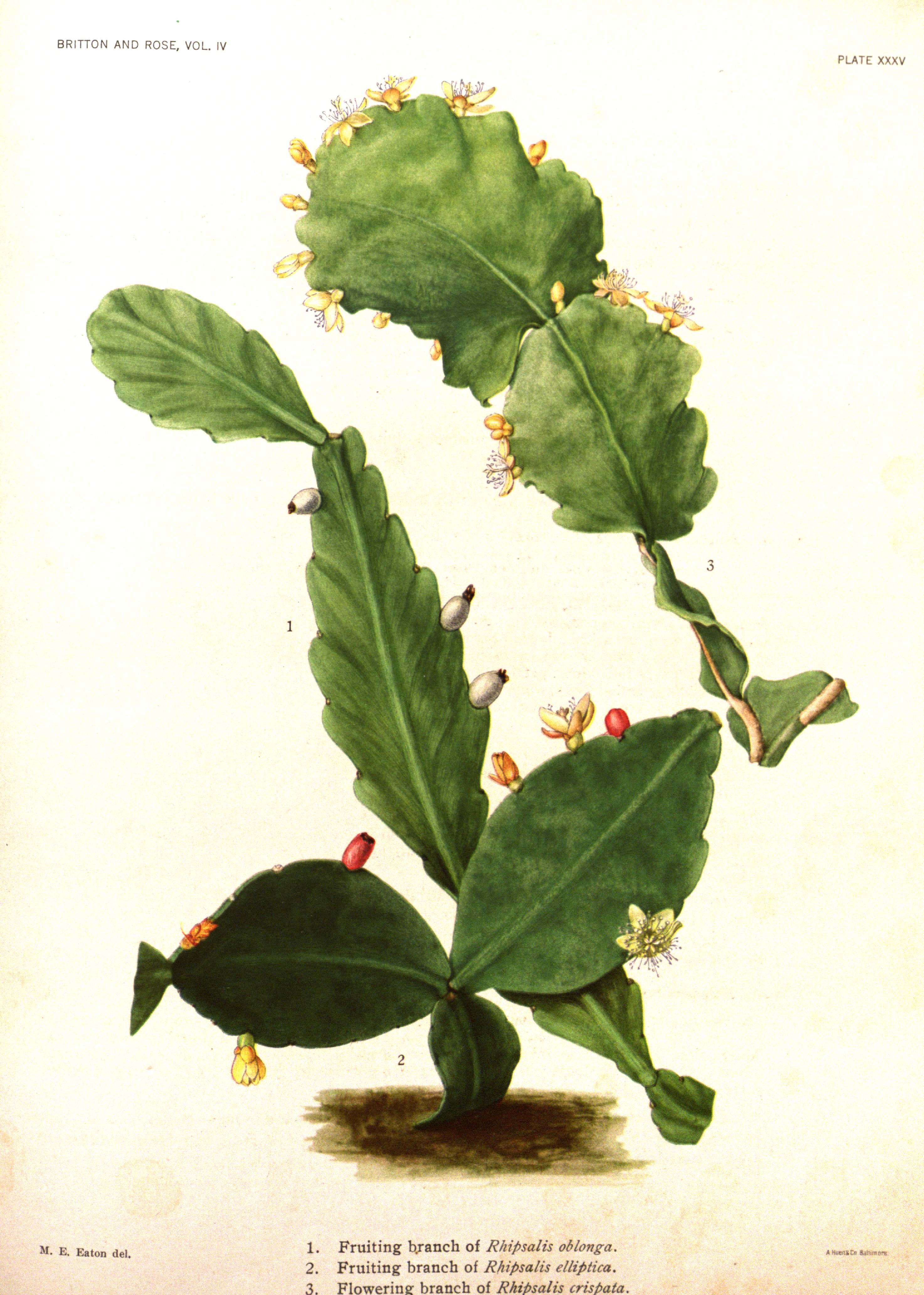 no full size  illustration available (3a)