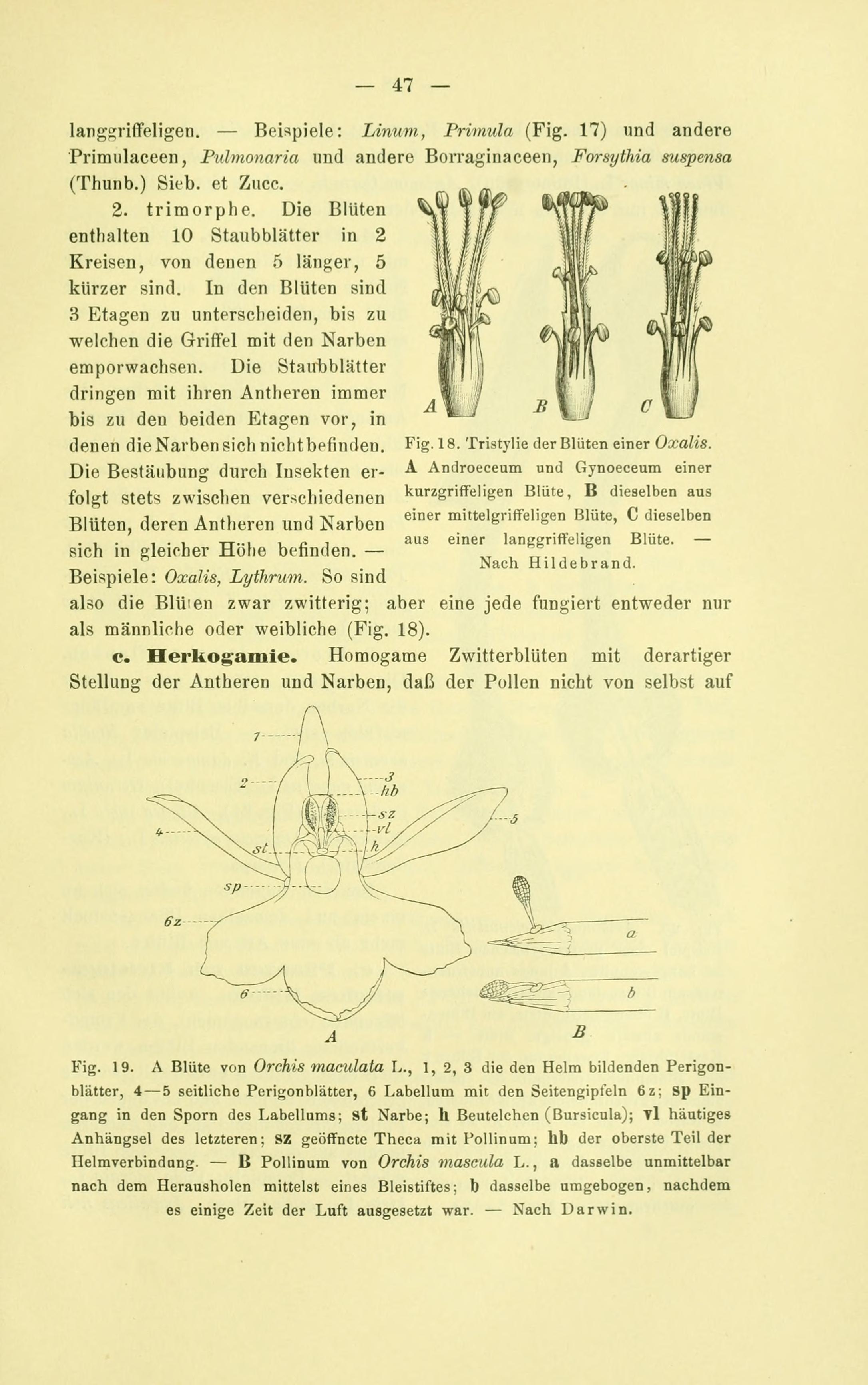 no full size  illustration available (3a)