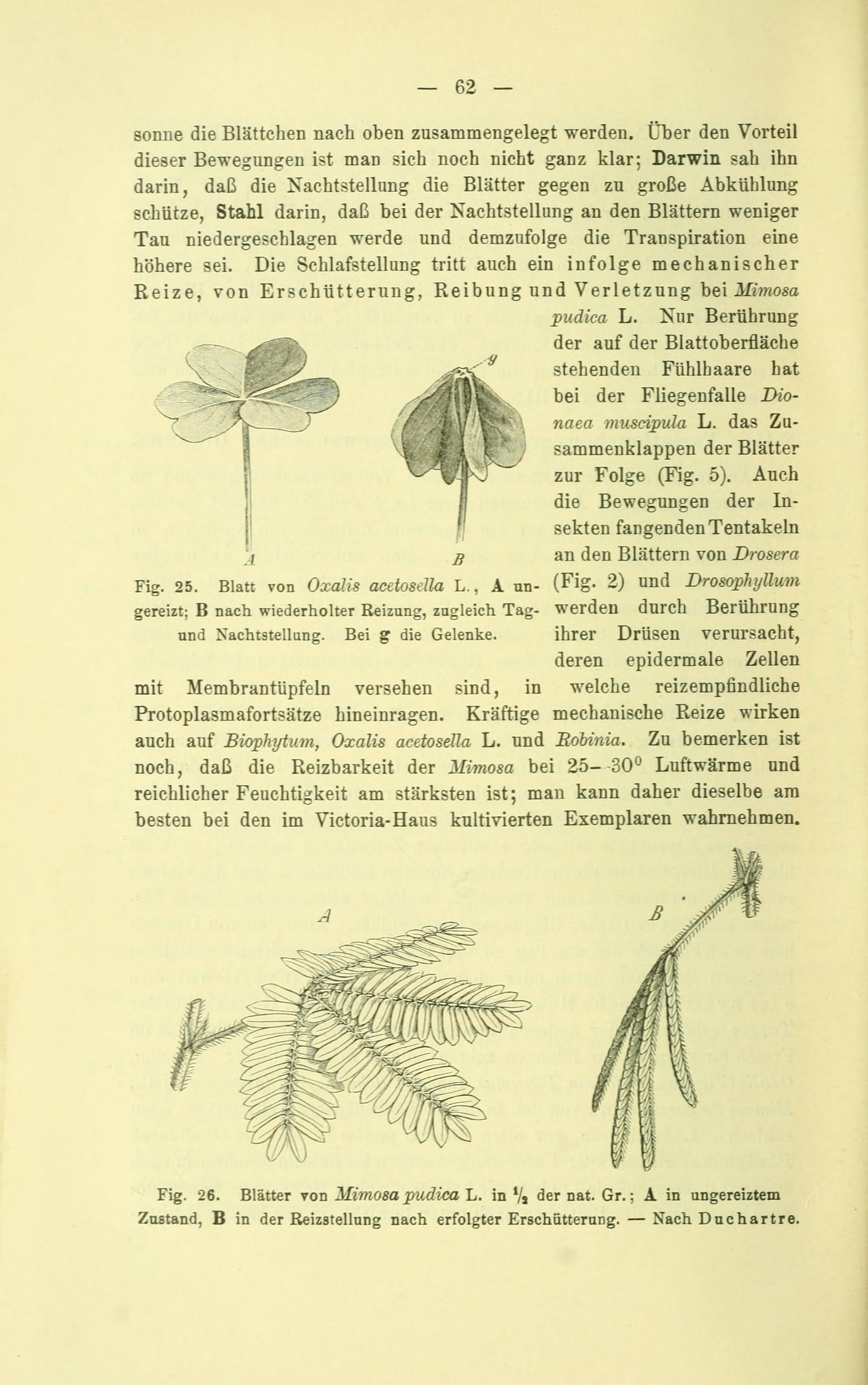 no full size  illustration available (3a)