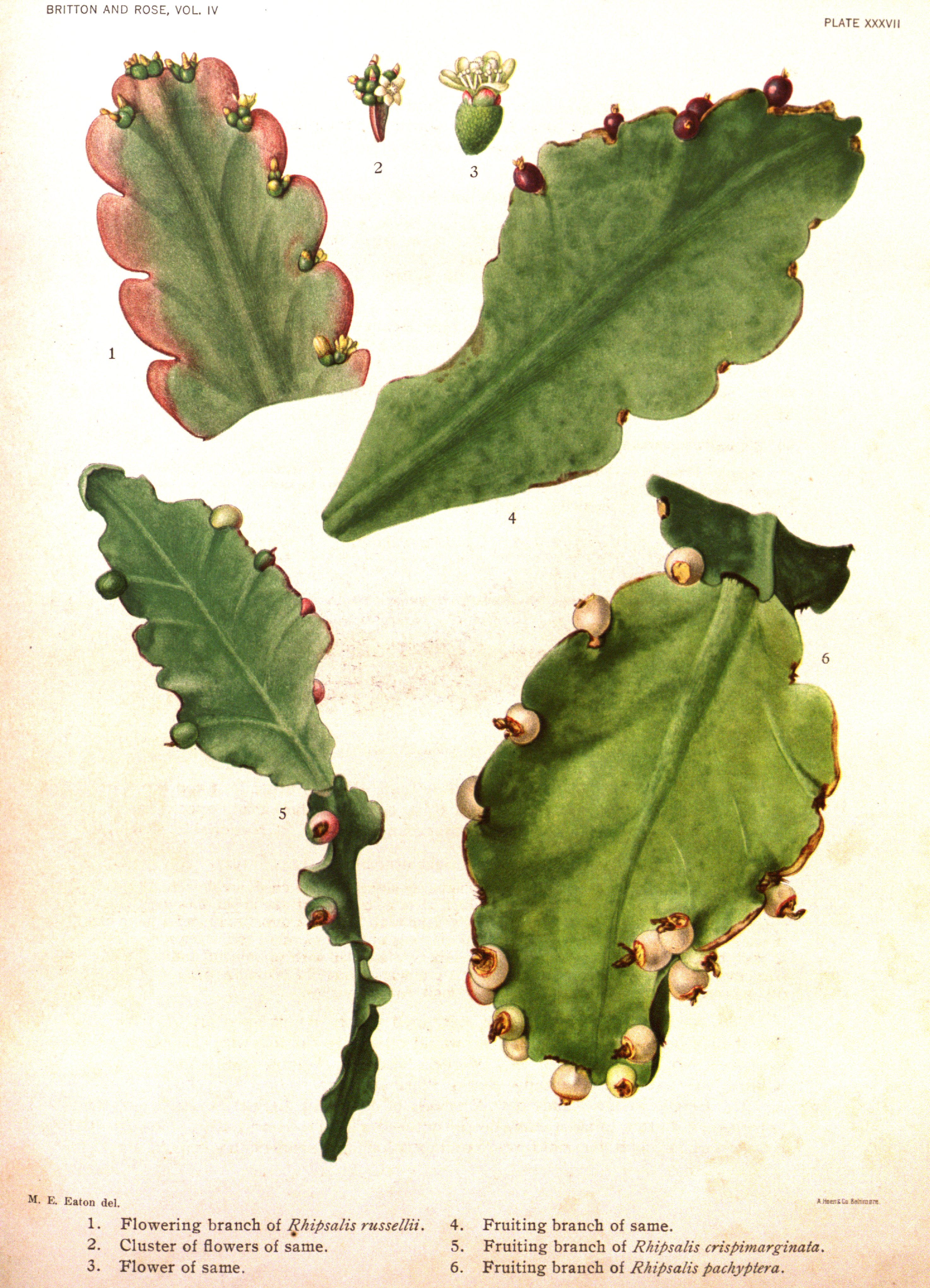 no full size  illustration available (3a)