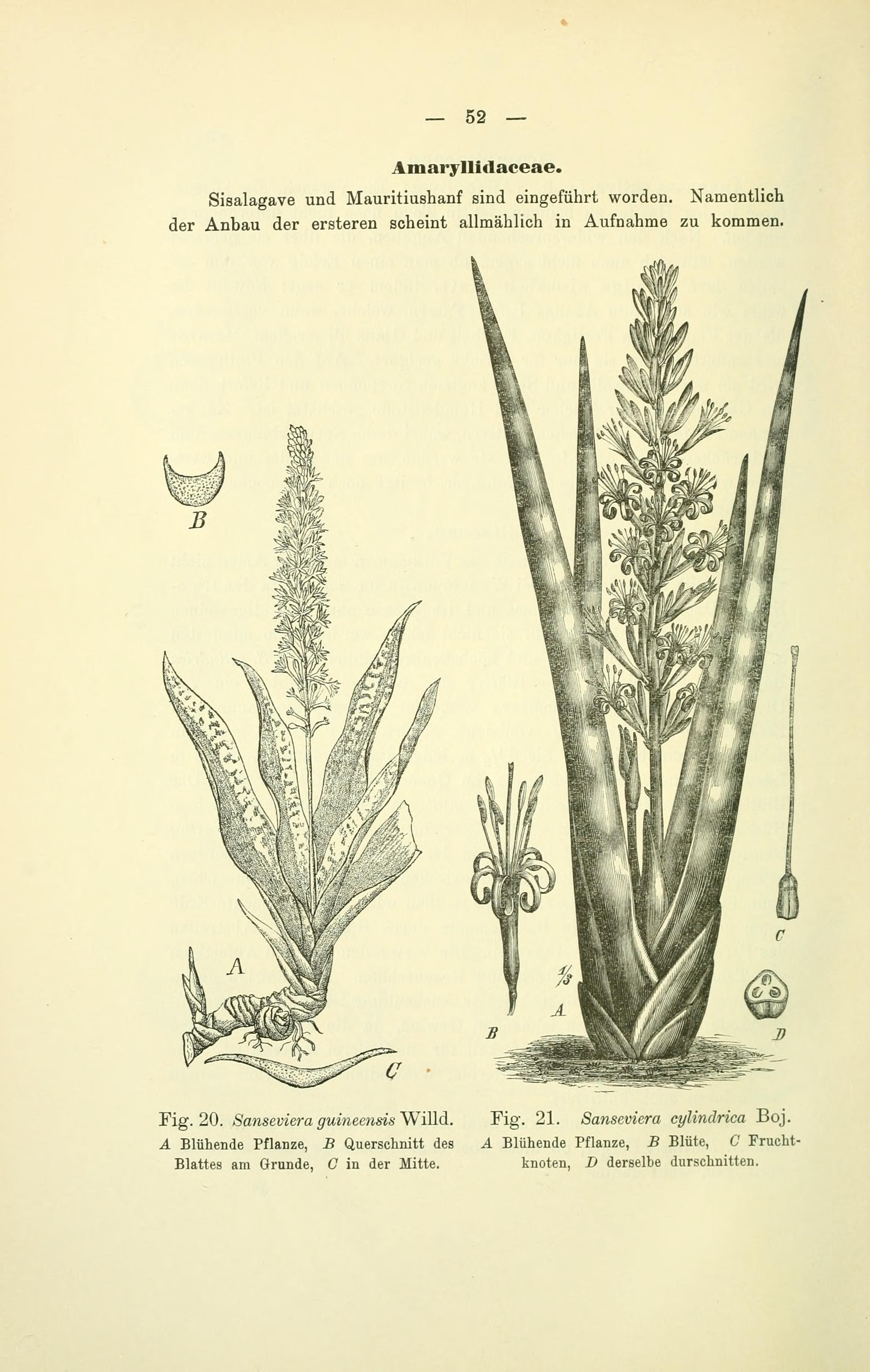 no full size  illustration available (3a)