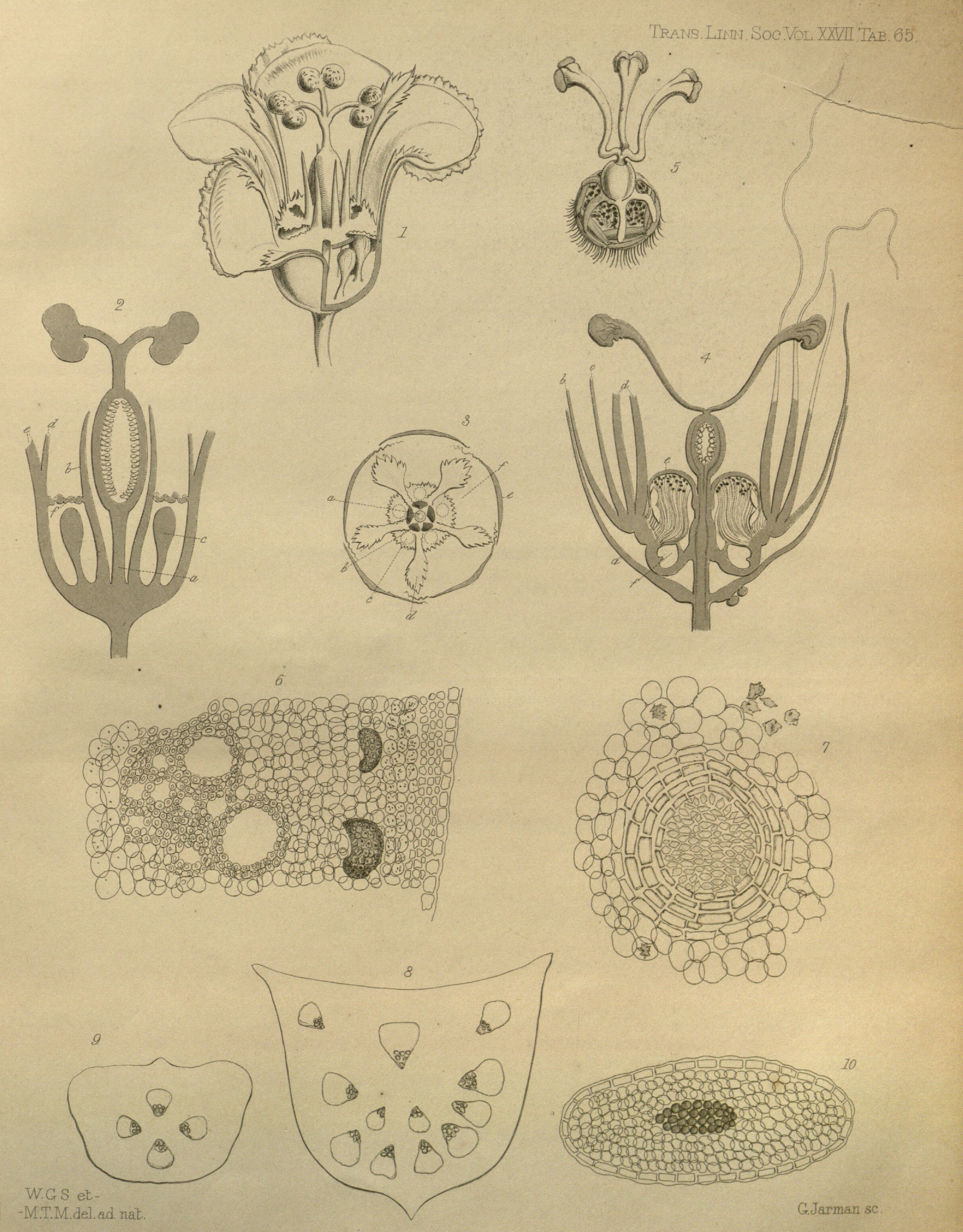 no full size  illustration available (3a)