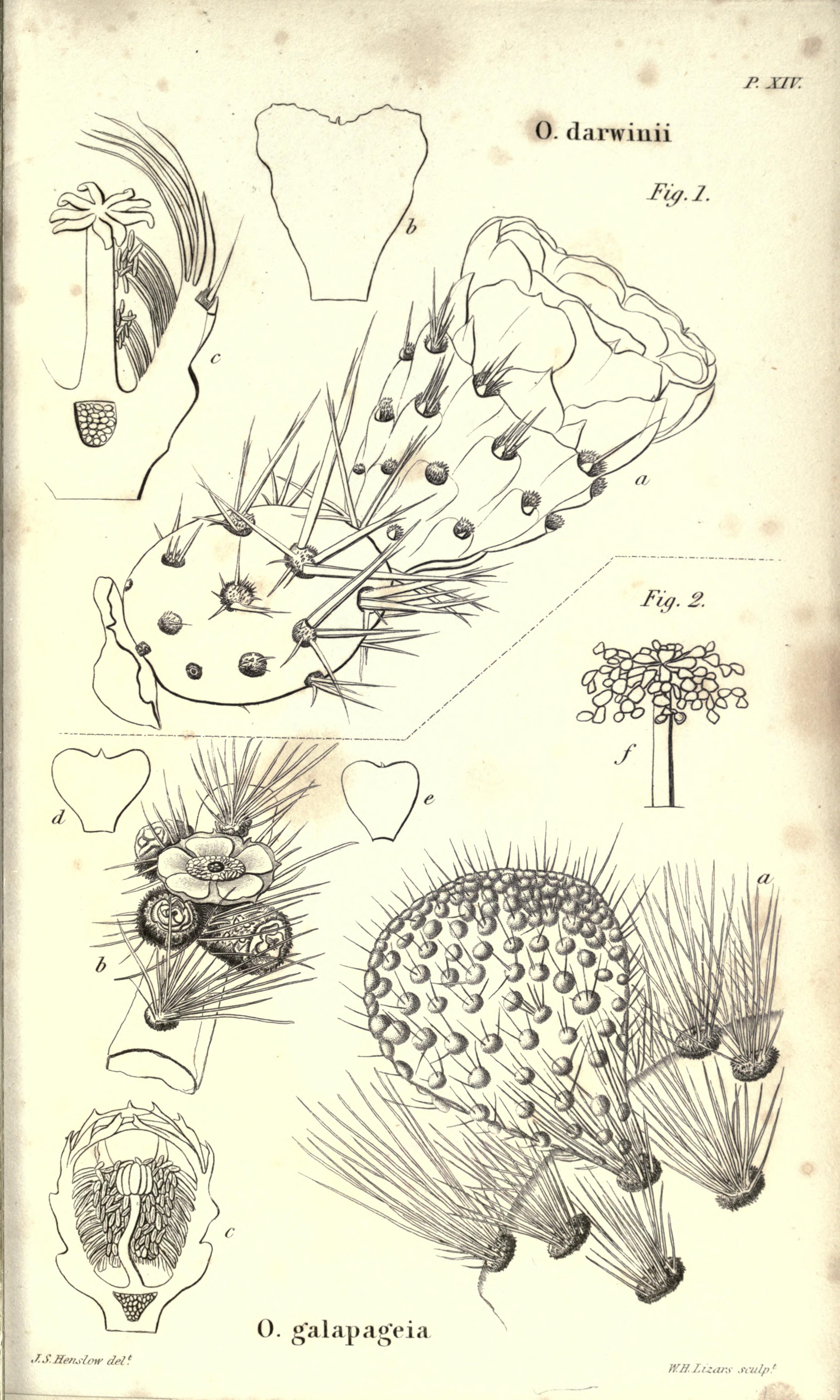 no full size  illustration available (3a)