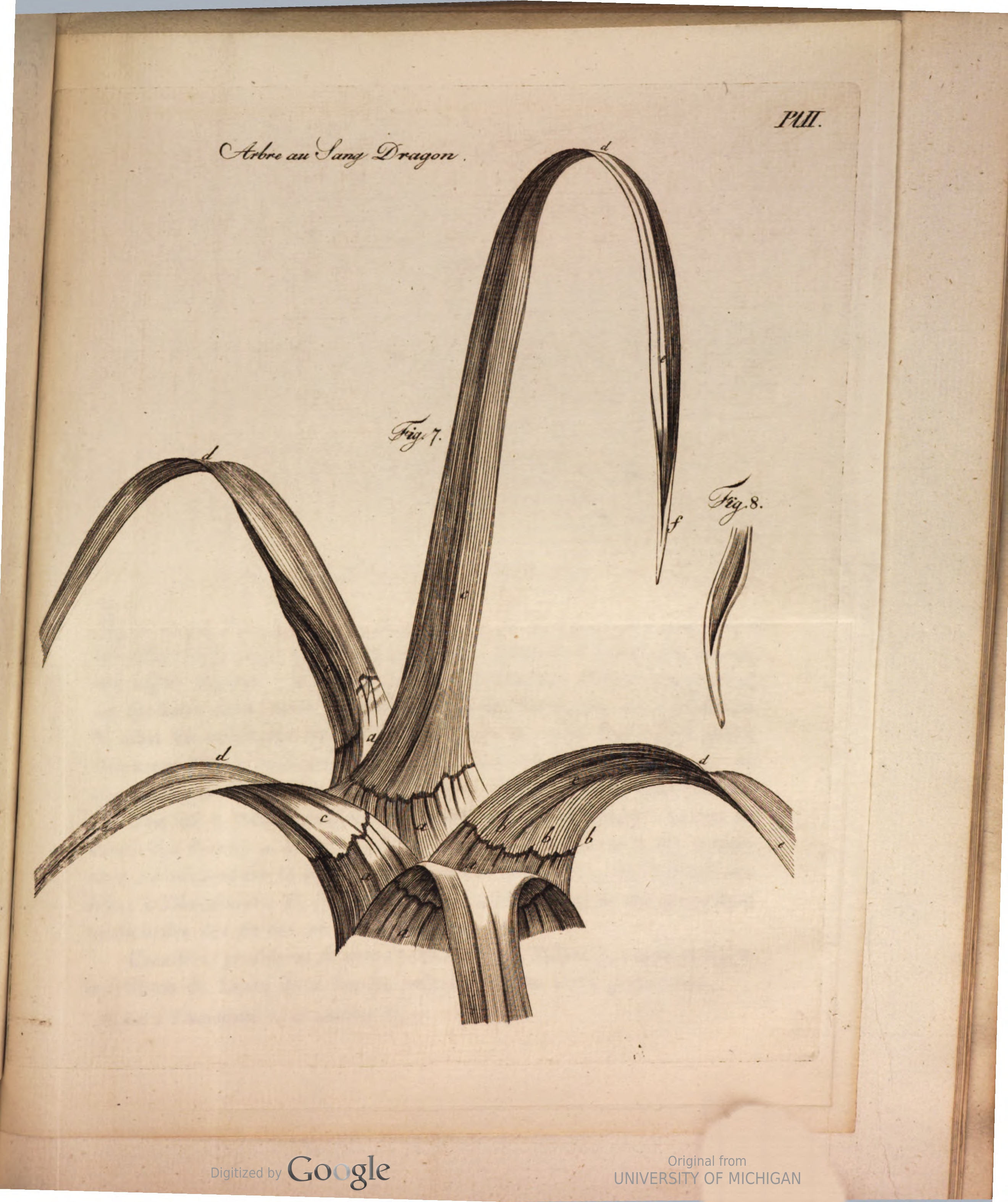 no full size  illustration available (3a)