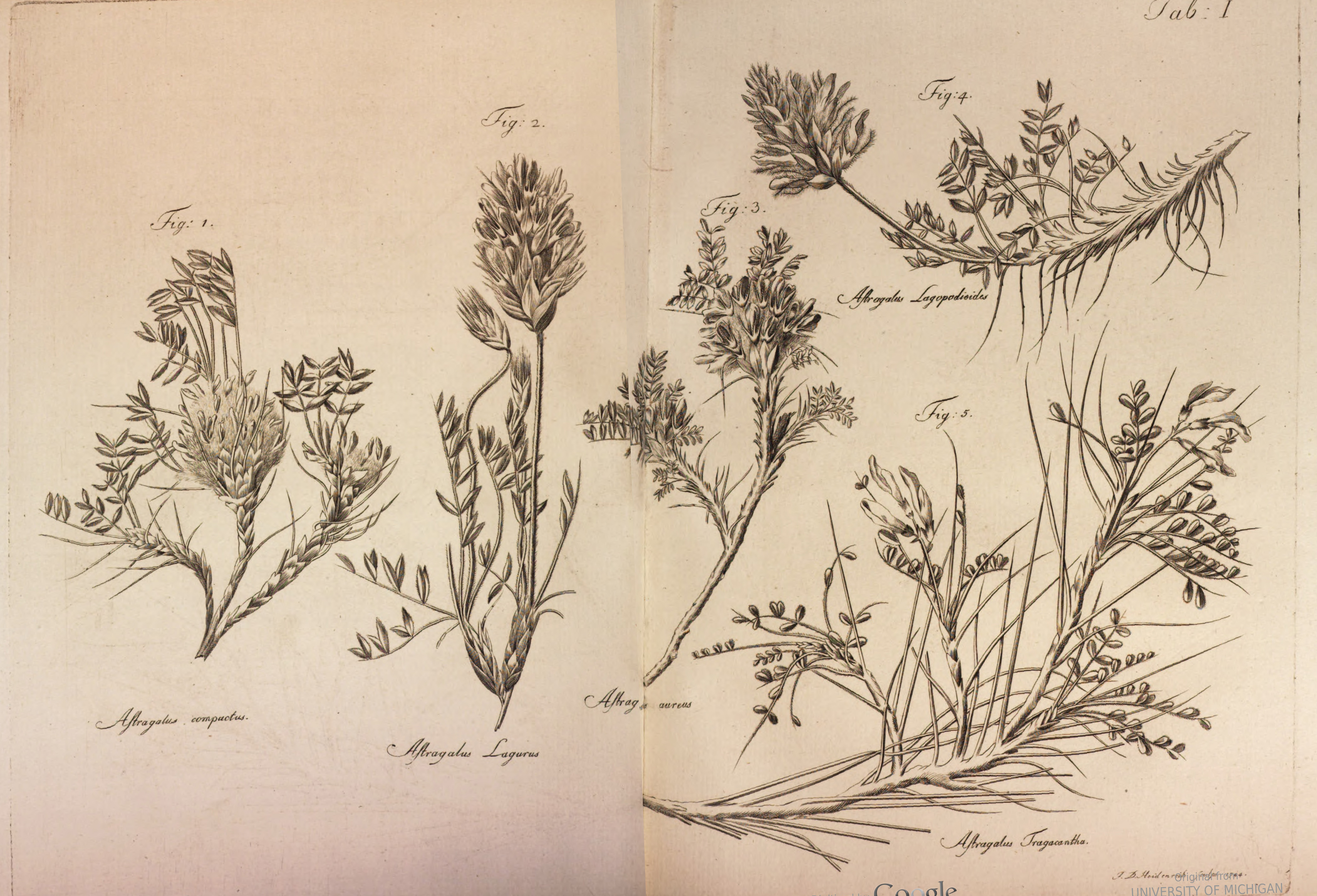 no full size  illustration available (3a)