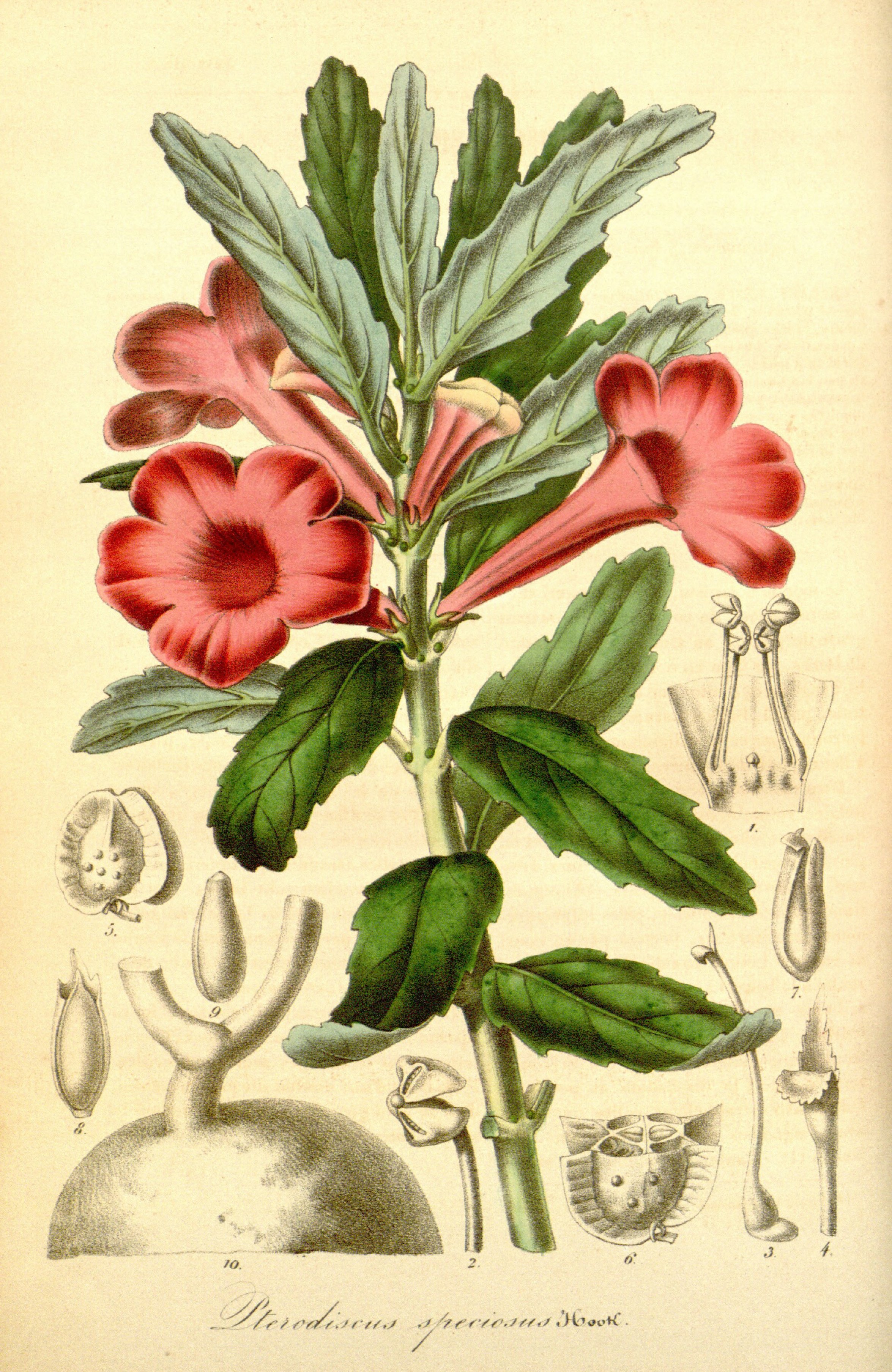 no full size  illustration available (3a)