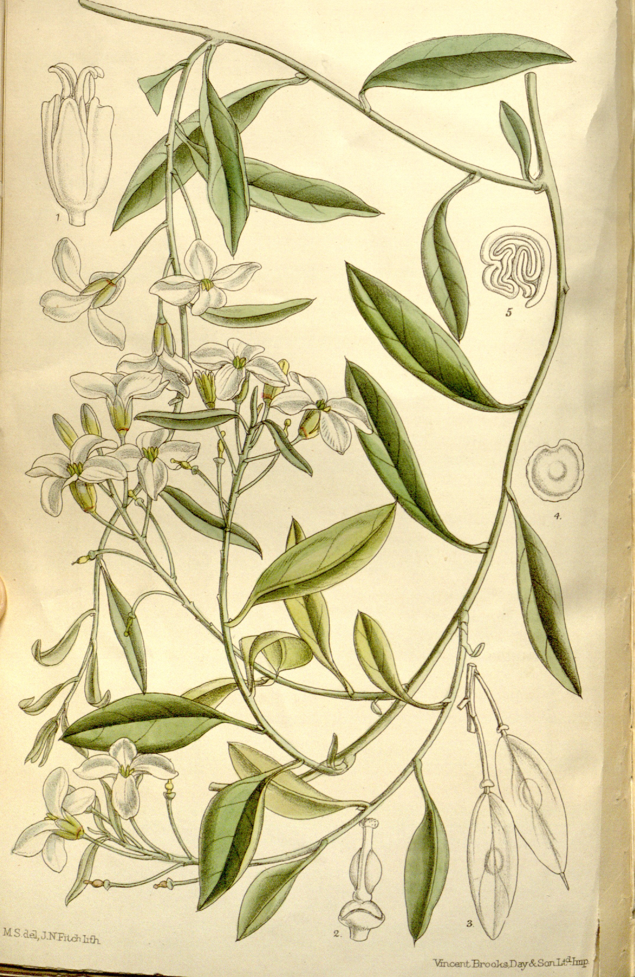 no full size  illustration available (3a)