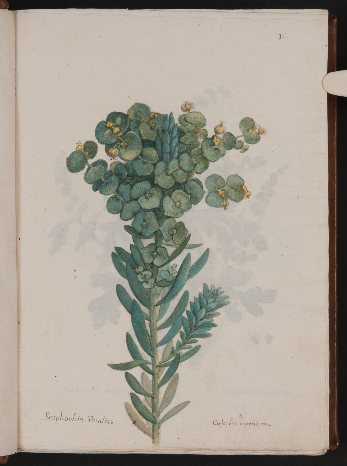 no full size  illustration available (3a)