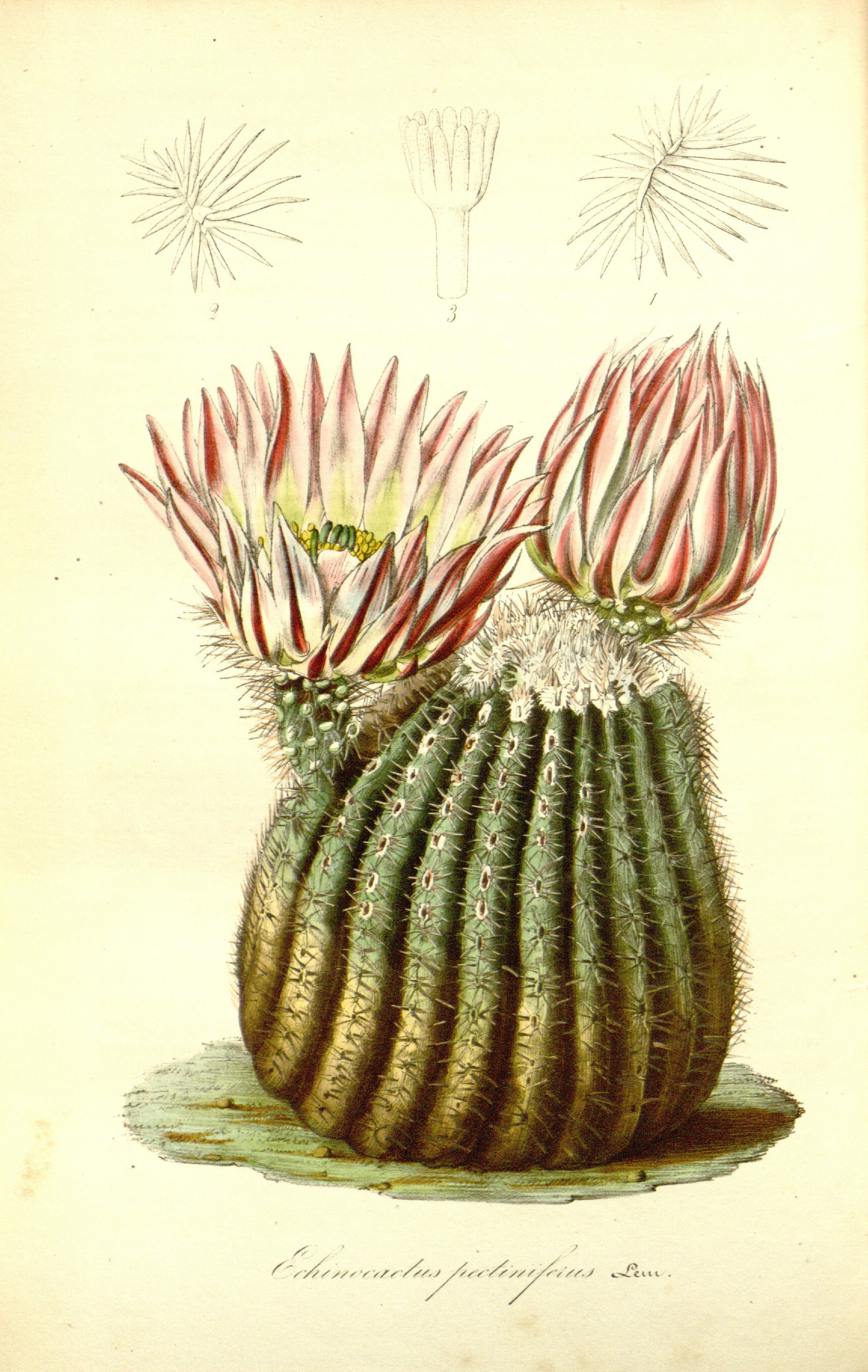 no full size  illustration available (3a)