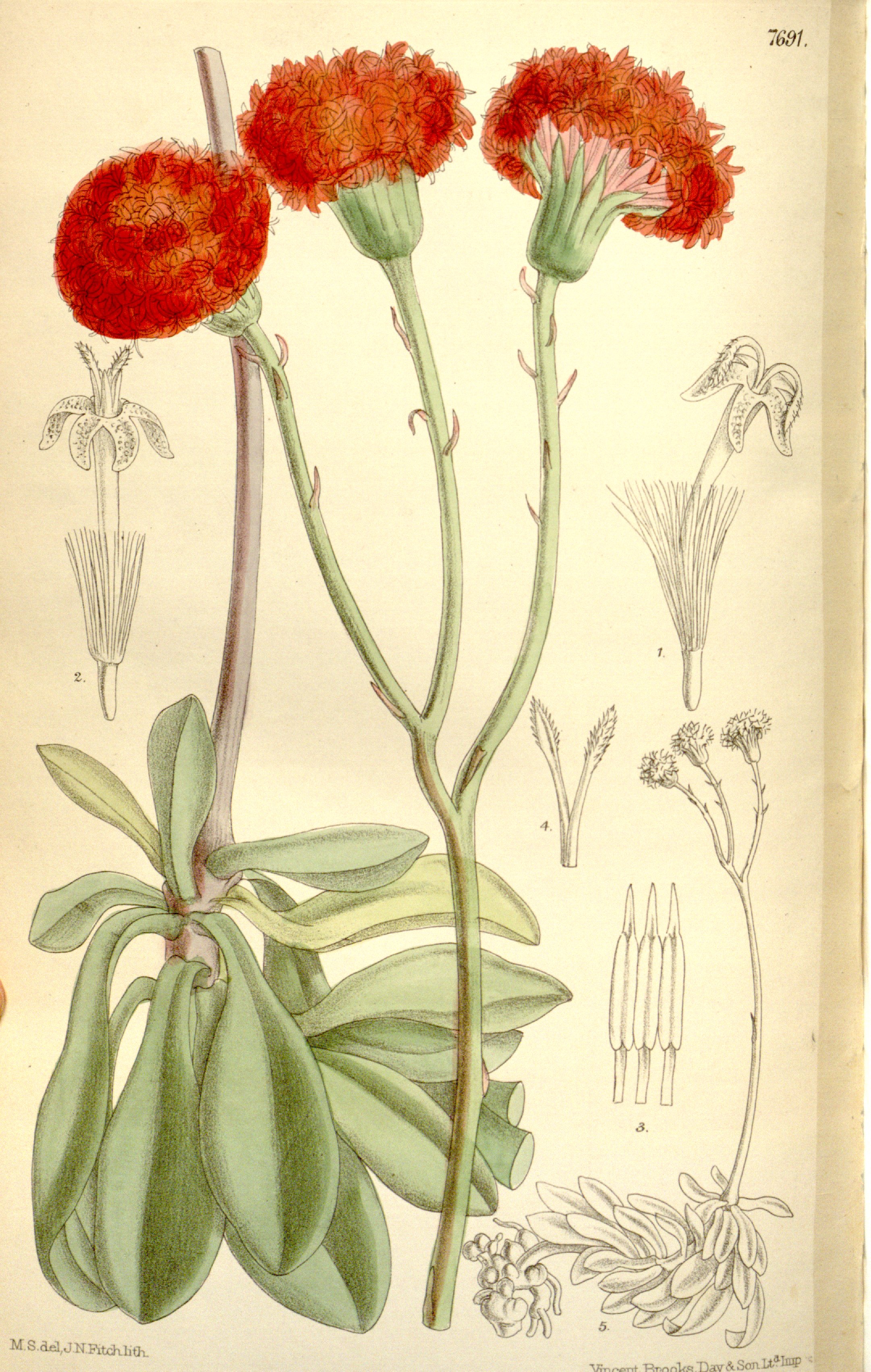 no full size  illustration available (3a)