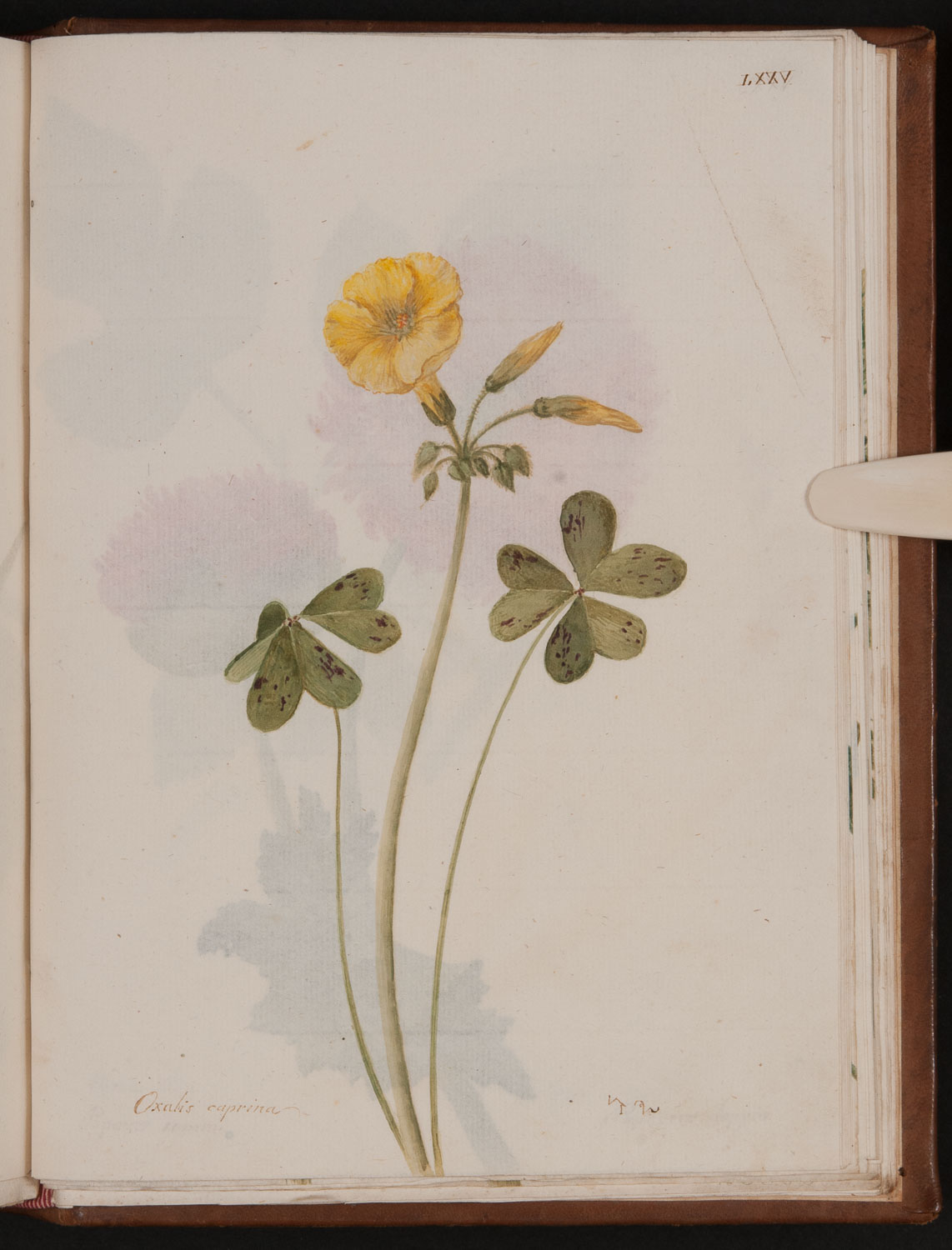 no full size  illustration available (3a)